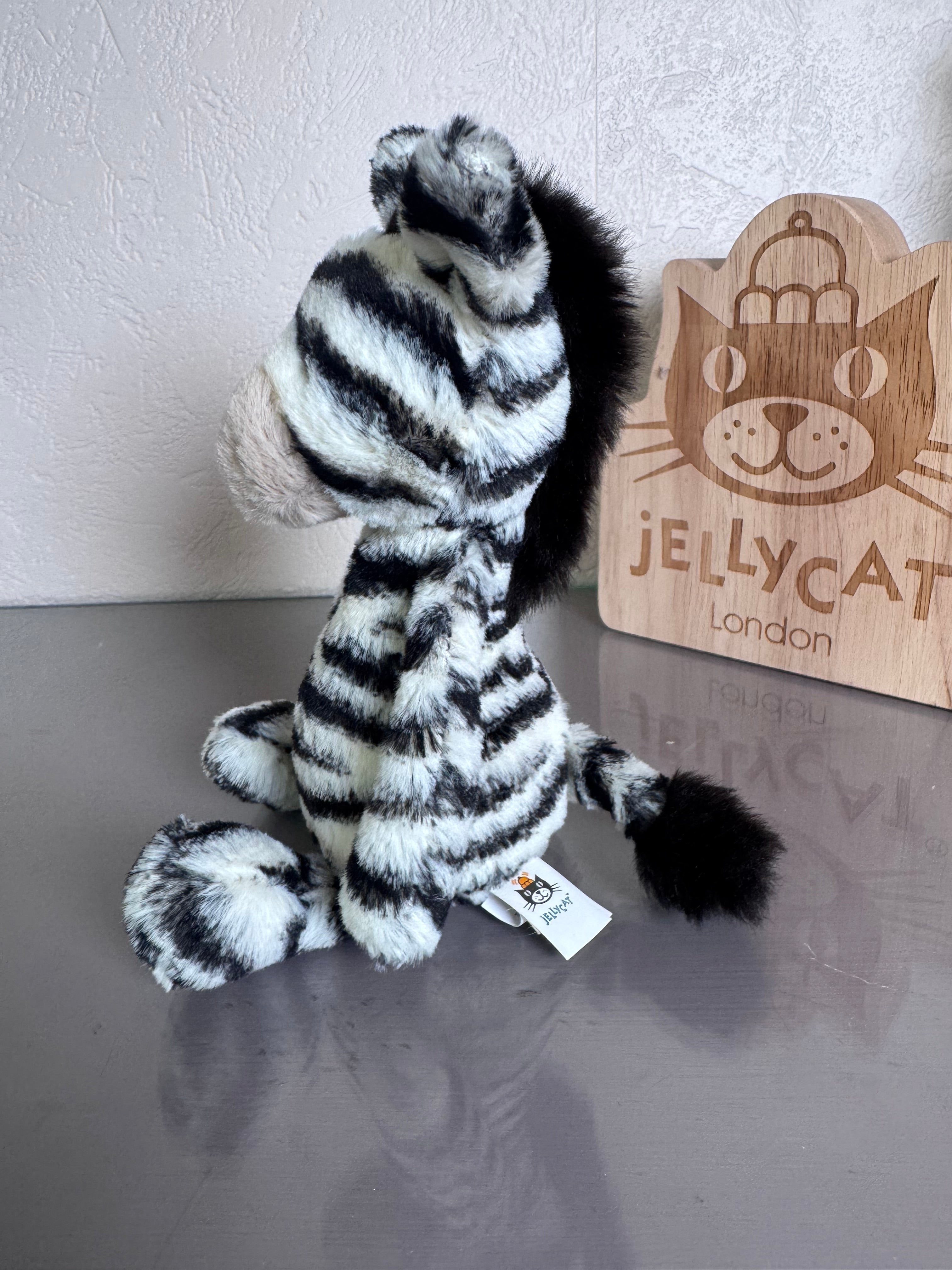 Small Bashful Zebra