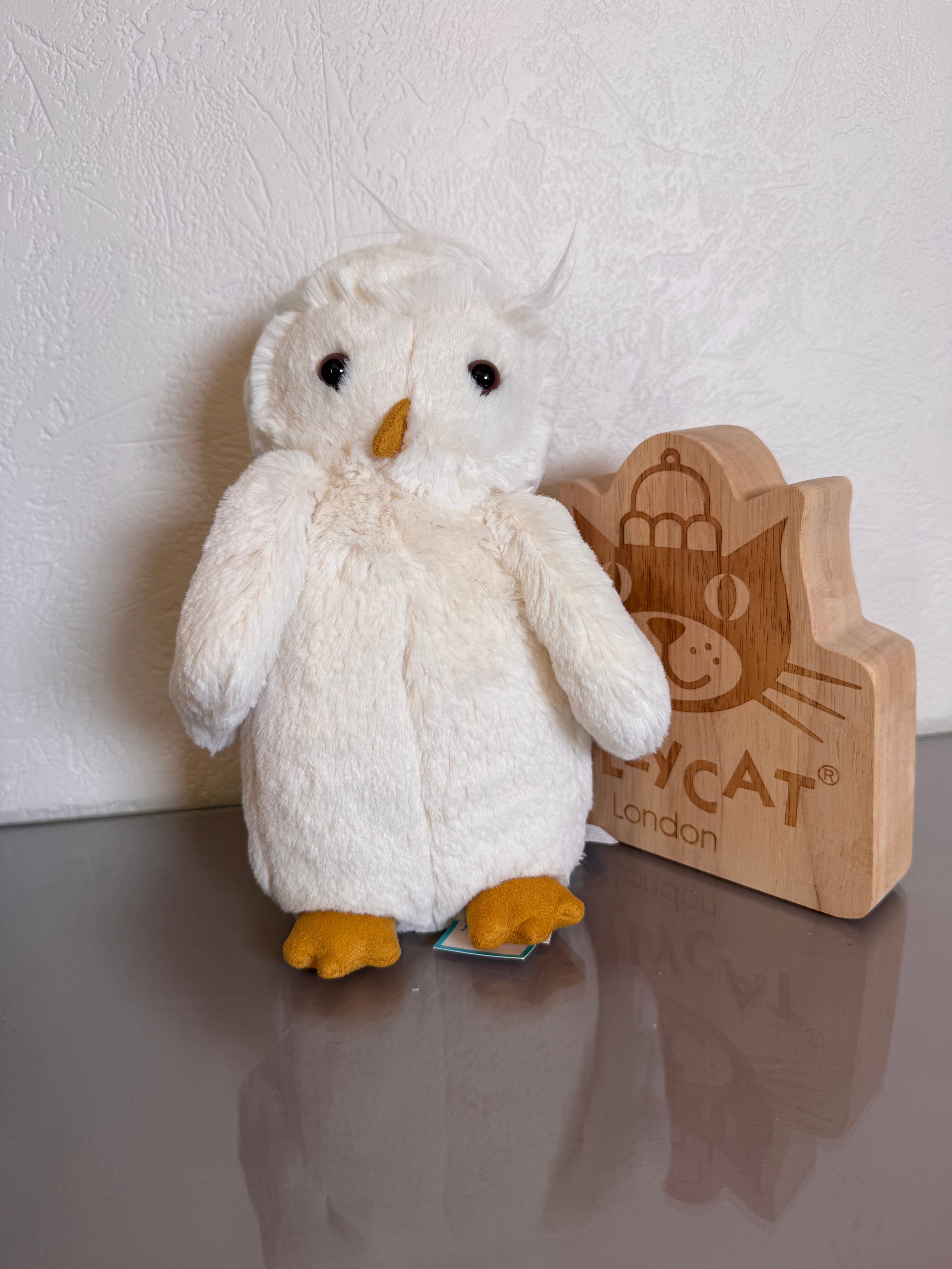 Bashful owl