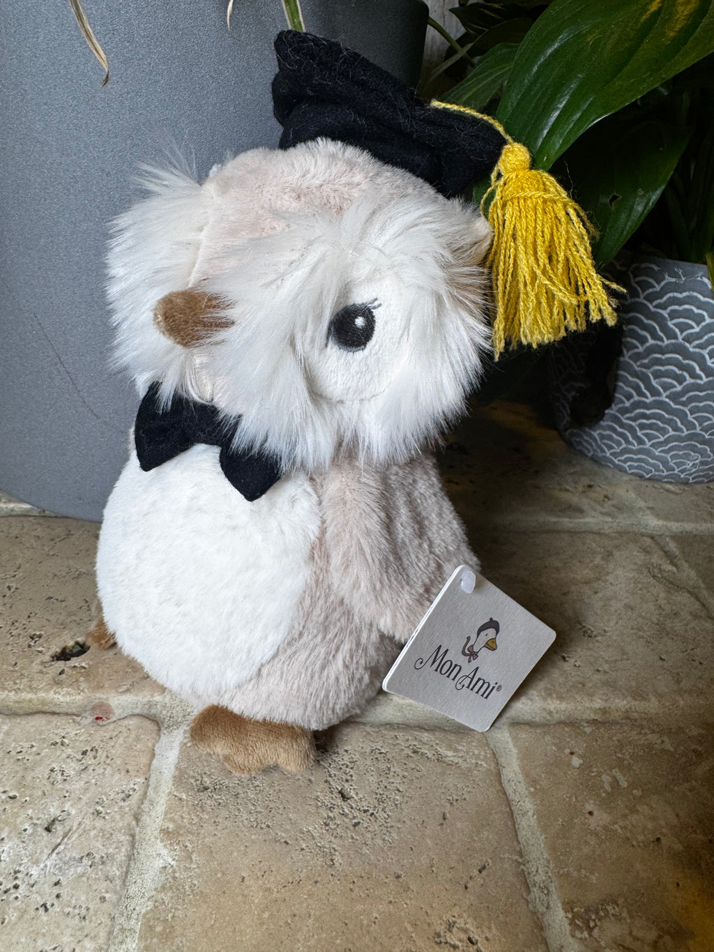 Mon Ami | Graduate Owl