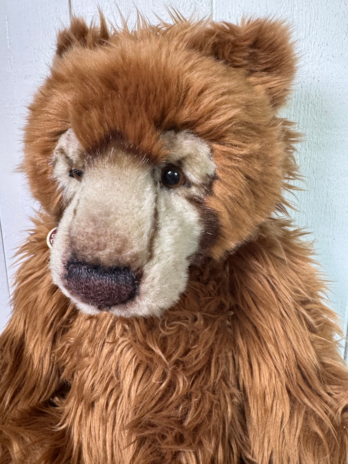Charlie Bears | Kojak CB094087