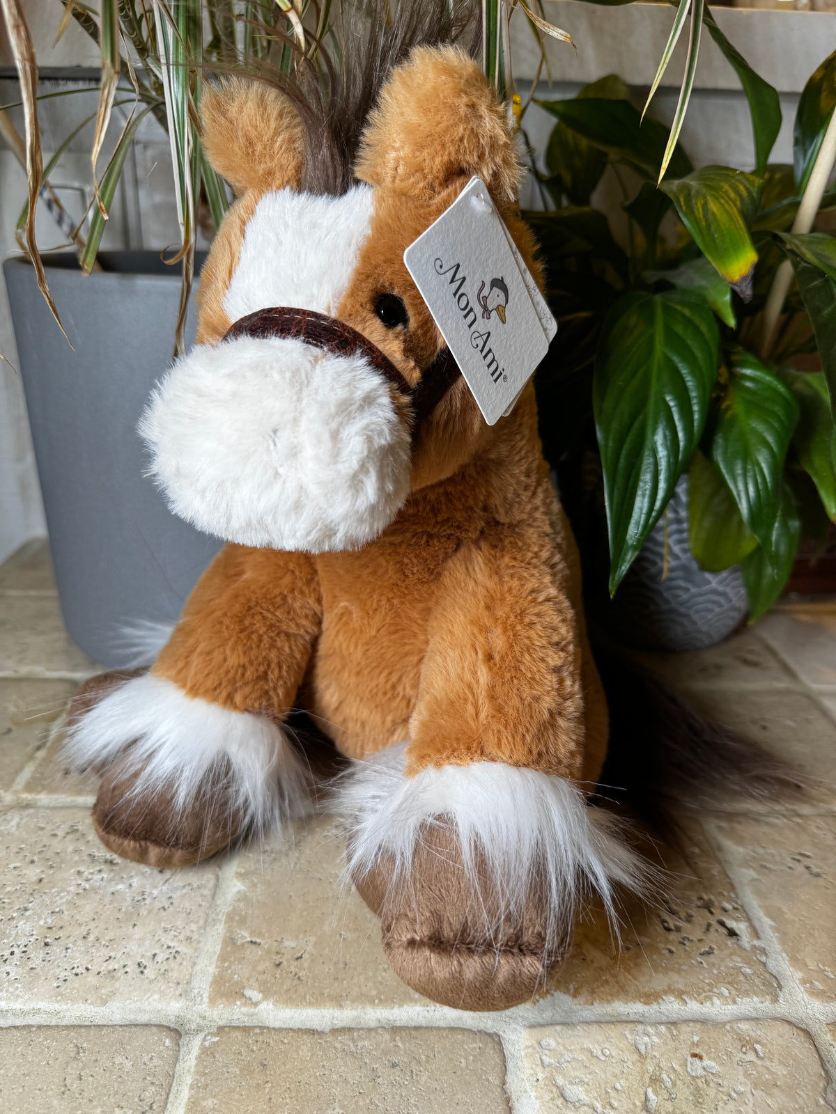 Mon Ami | Truffles Horse