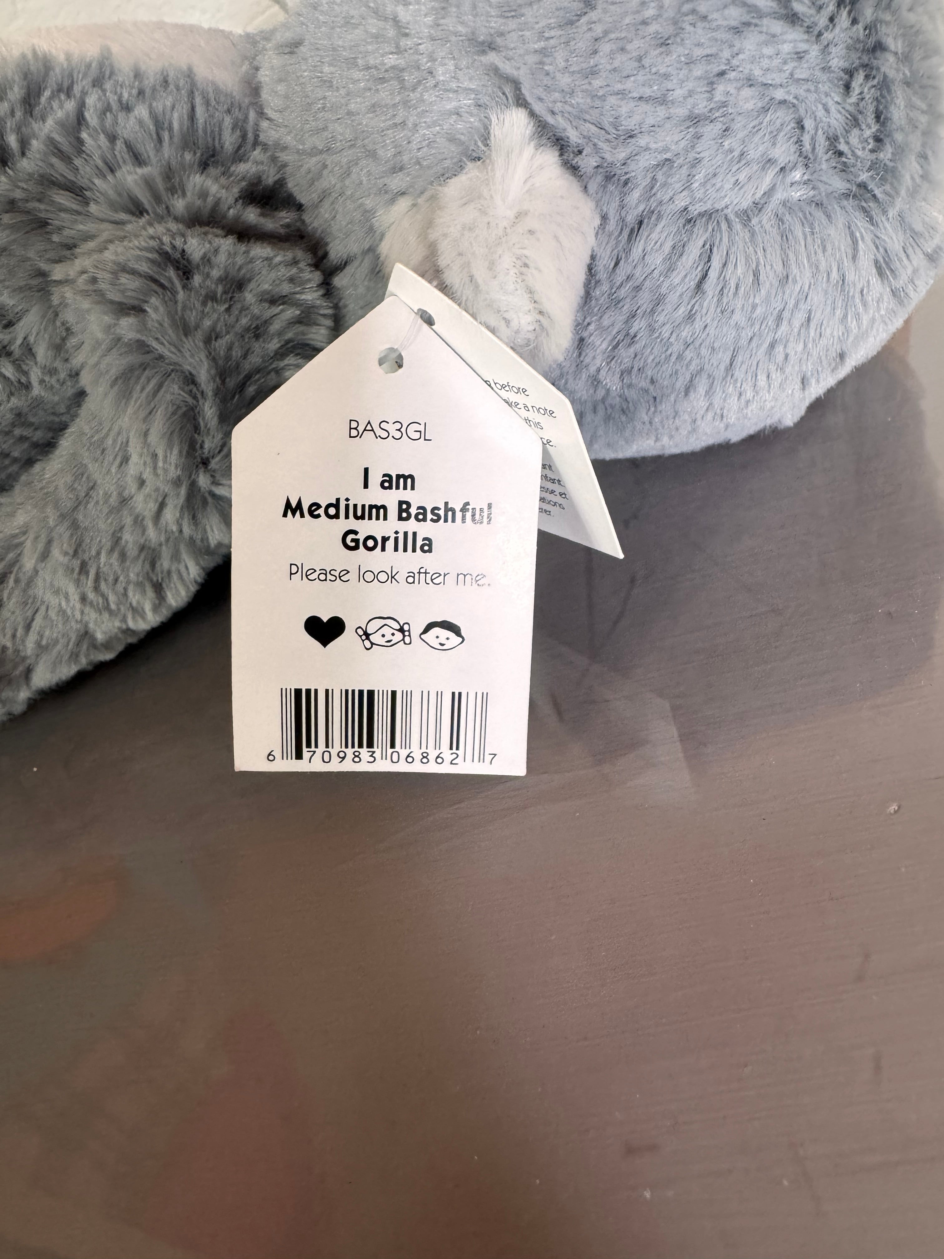 Medium bashful Gorilla