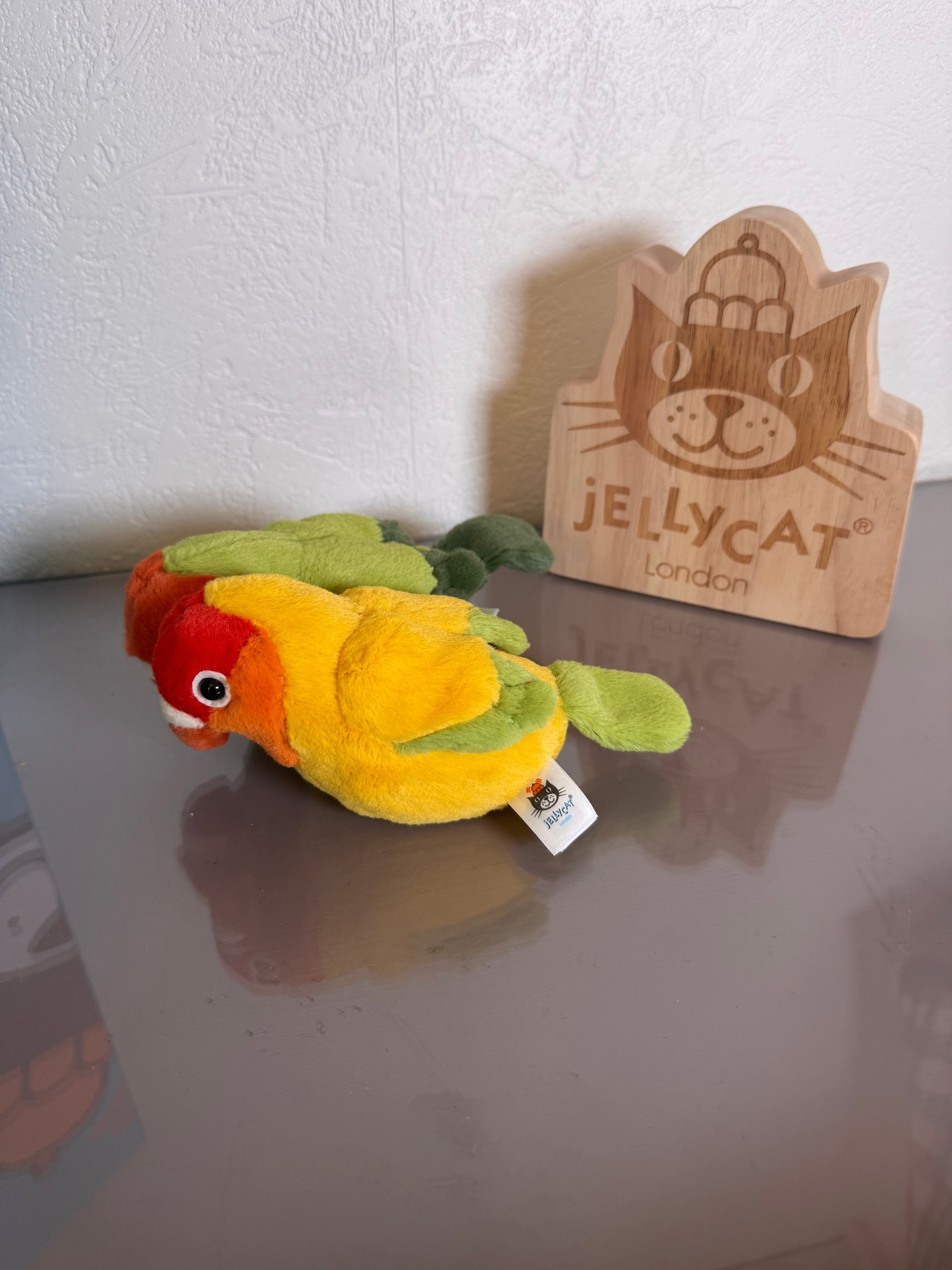Pair of Lovely Lovebirds
