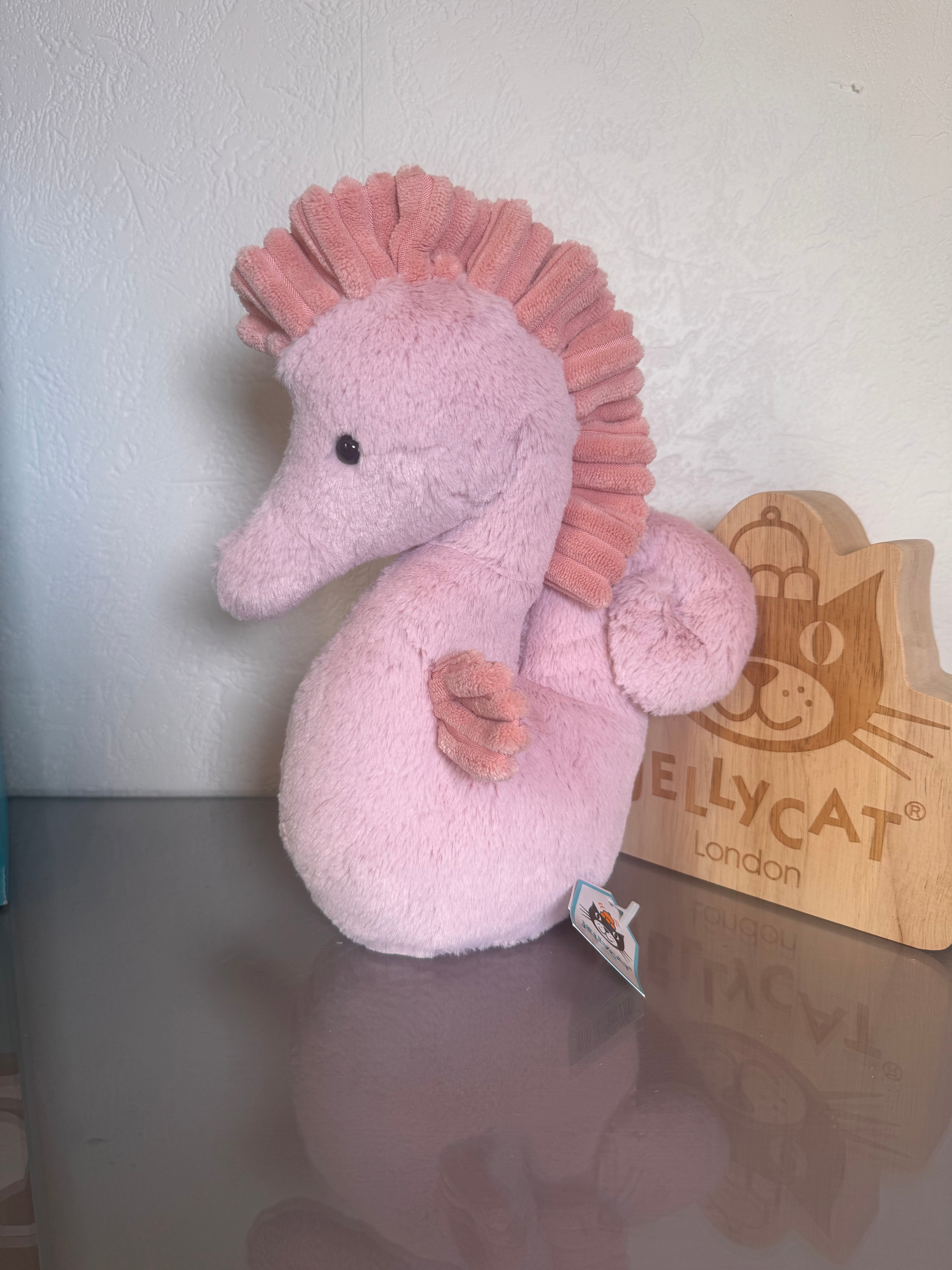 Sienna Seahorse