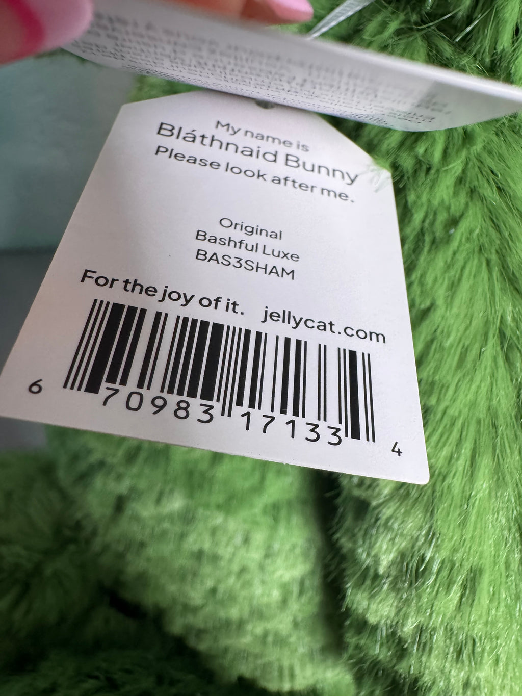 Irish exclusive Blàthnaid Bunny