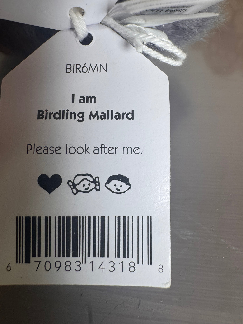 Birdling Mallard