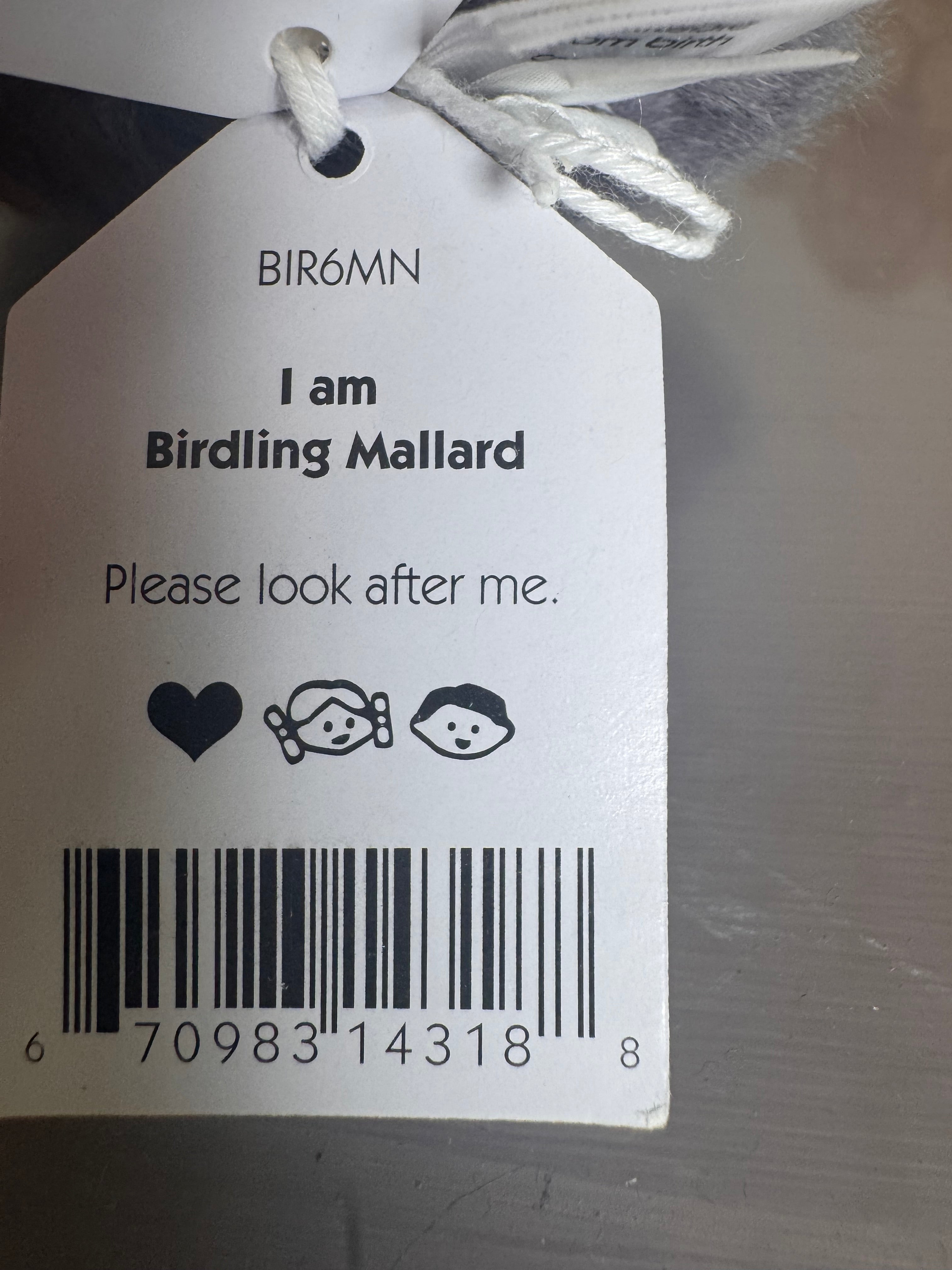 Birdling Mallard