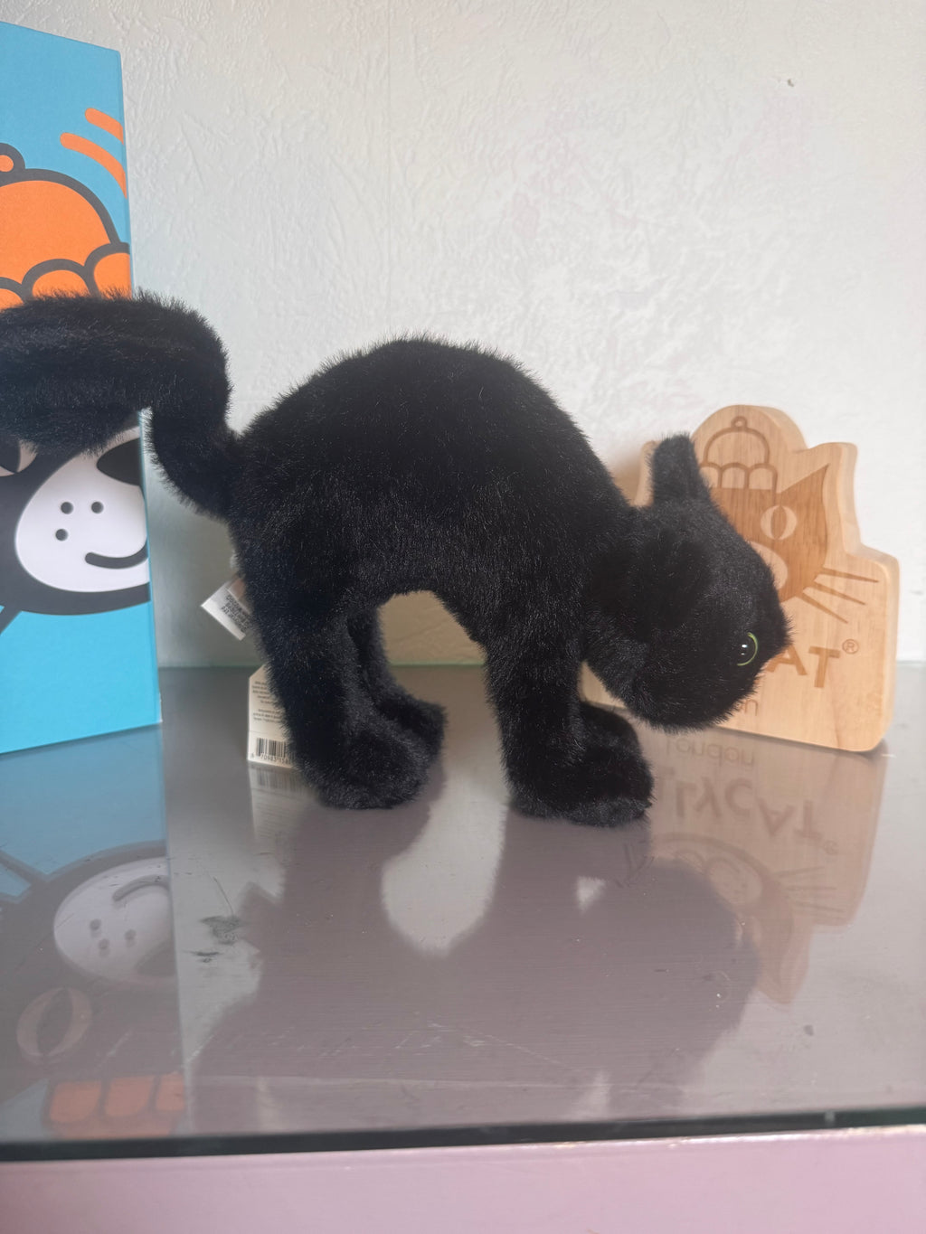 Spookipaws Cat
