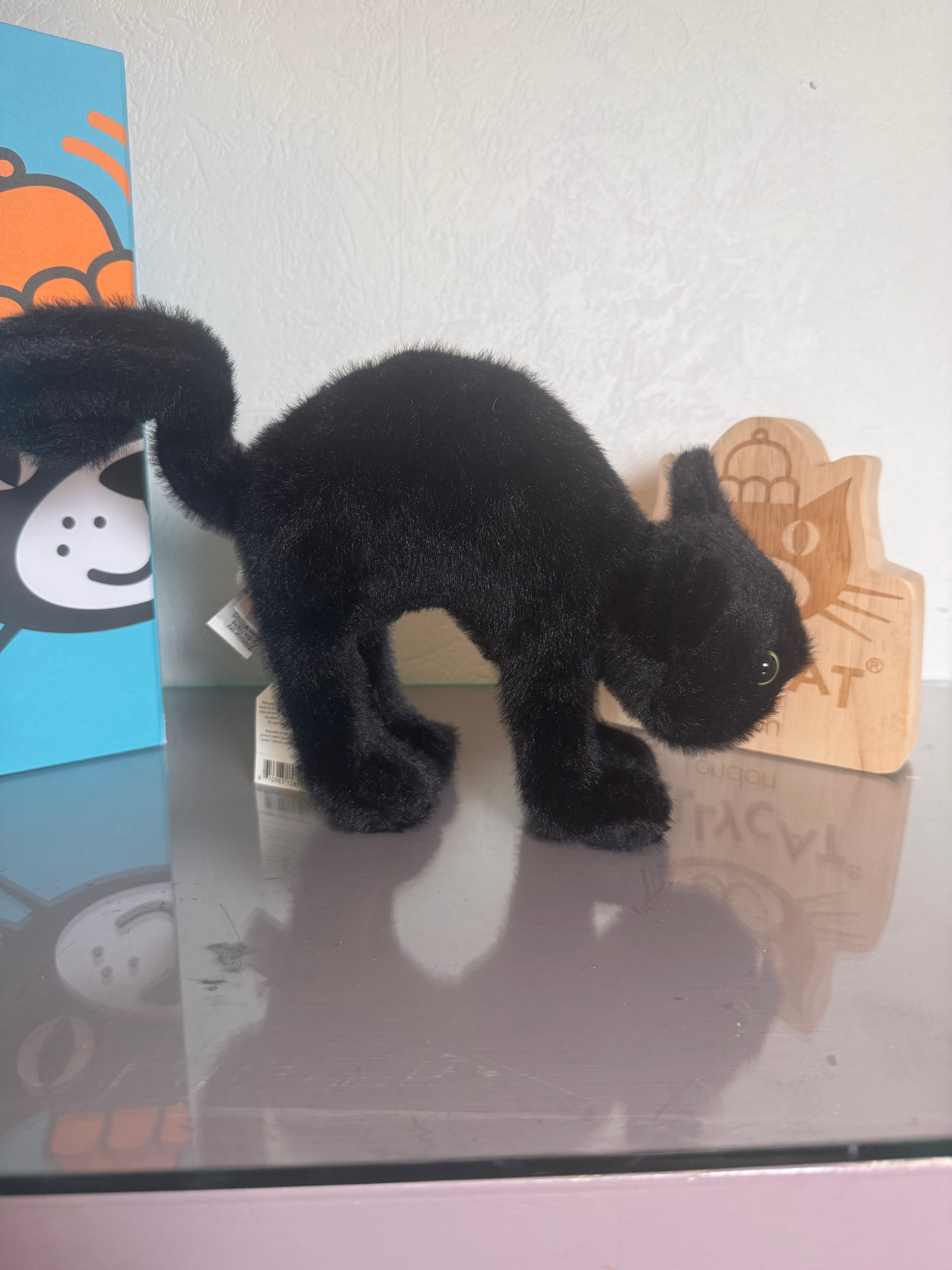 Spookipaws Cat