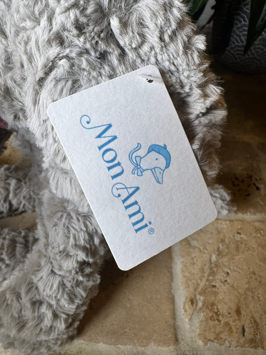Mon Ami | Elephant
