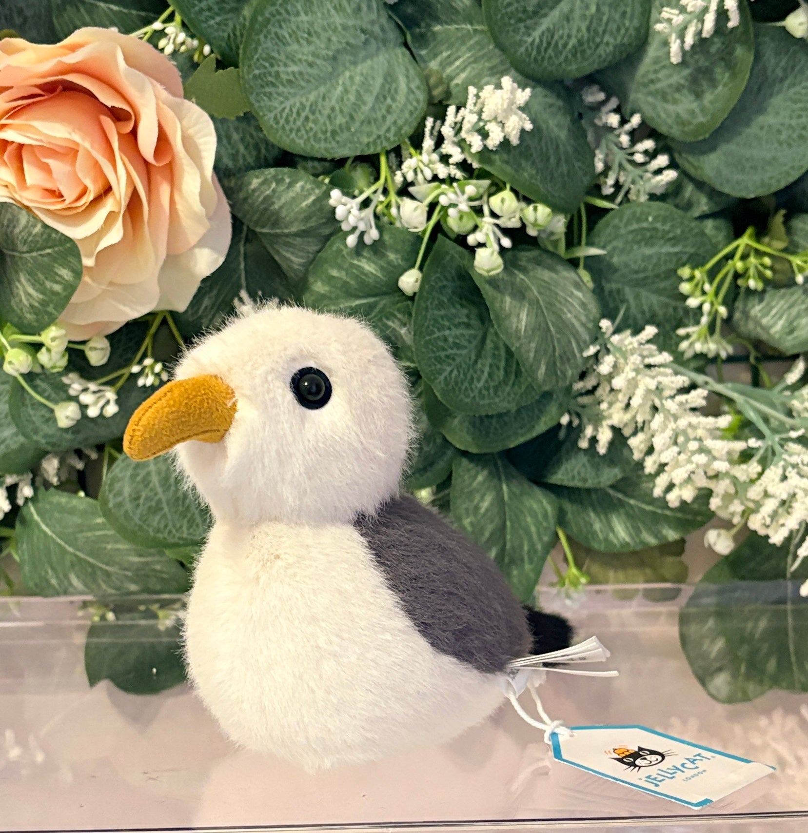 Birdling Seagull
