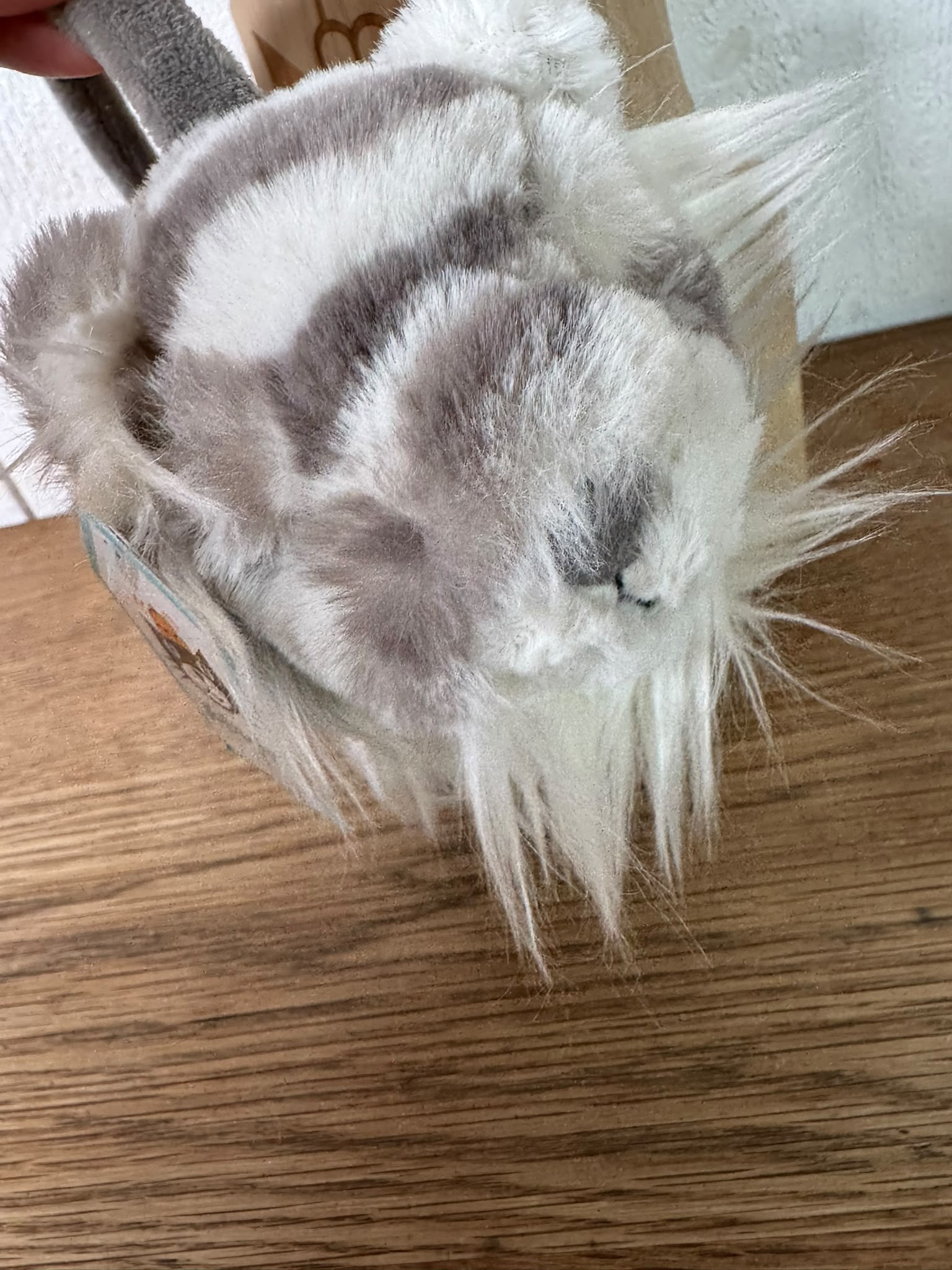 Jellycat Sasha Snow Tiger Earmuffs