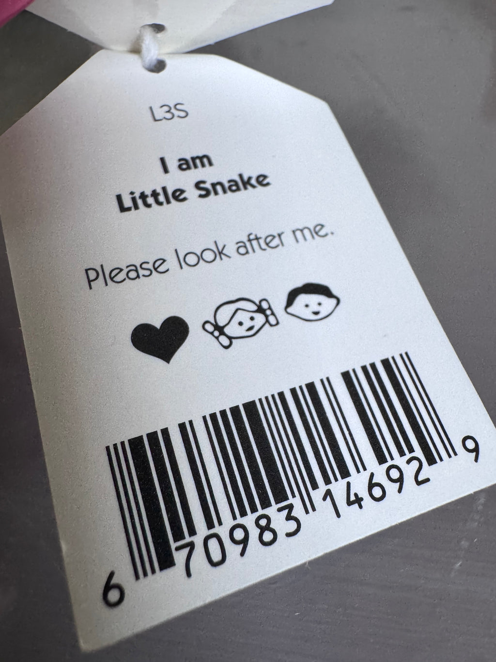 Little Snake