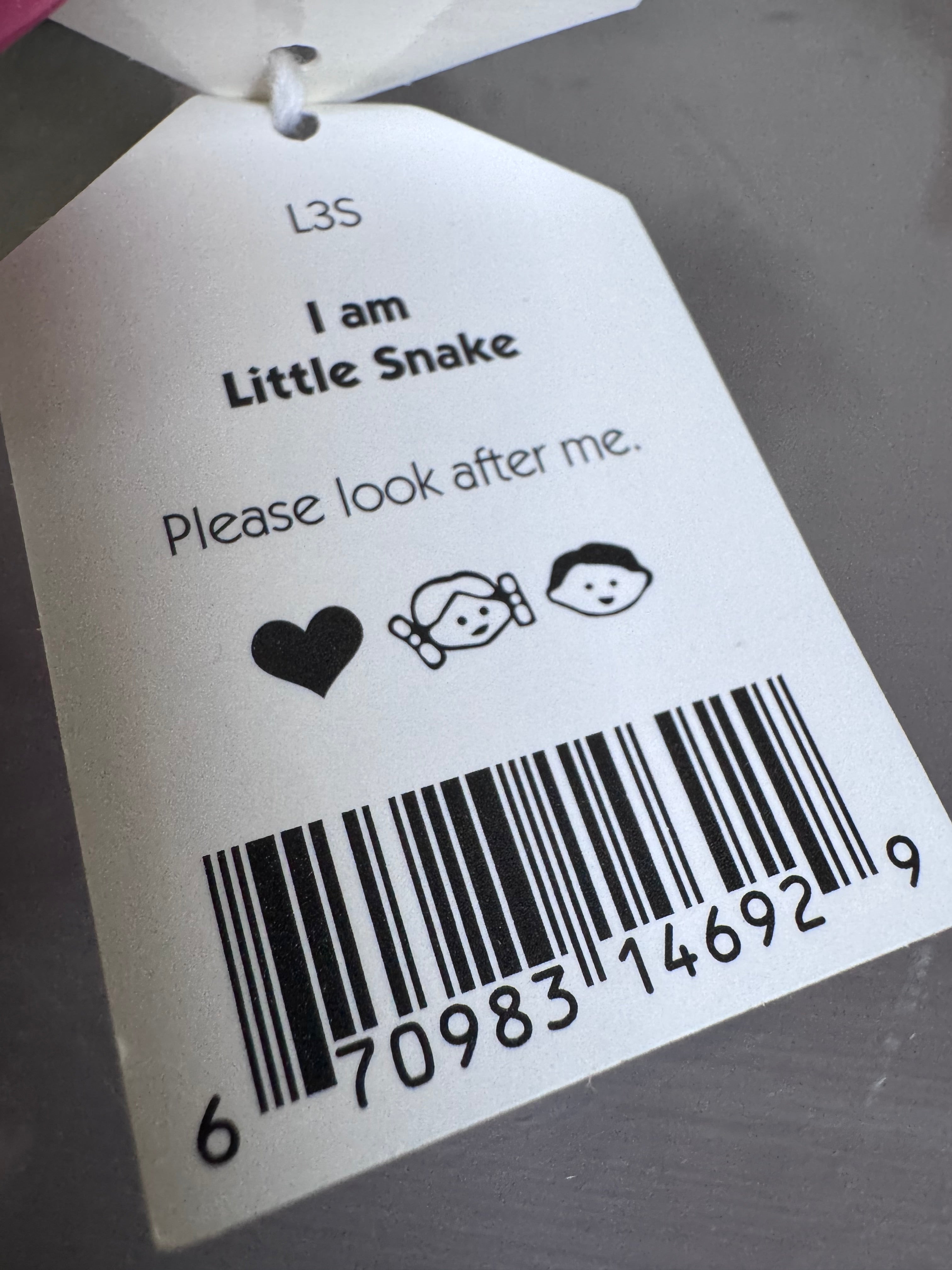 Little Snake