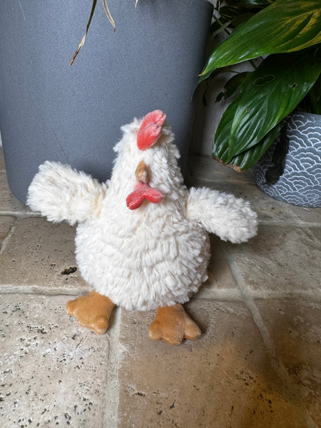 Mon Ami | Hazel Hen