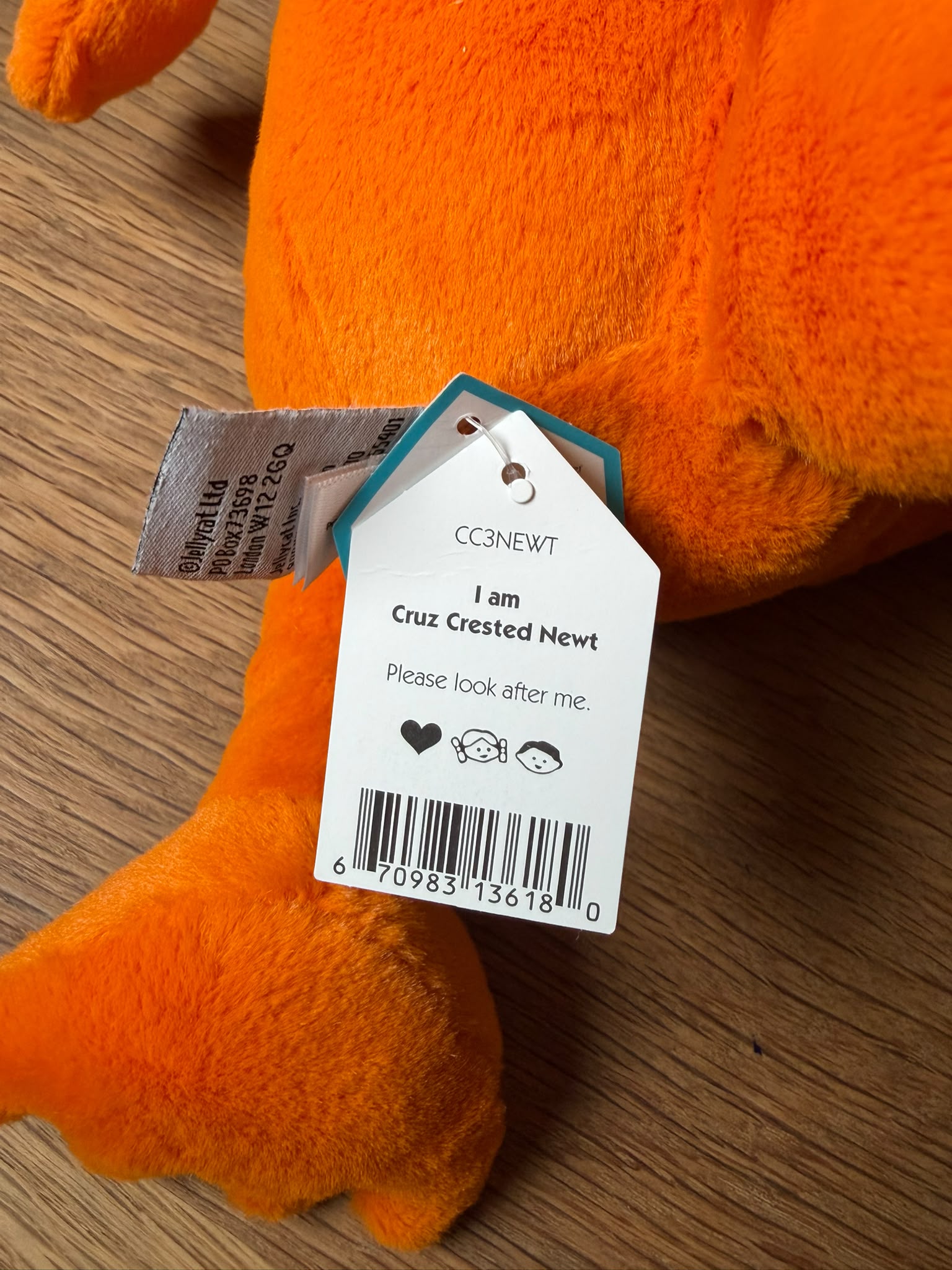 Jellycat Cruz Crested Newt