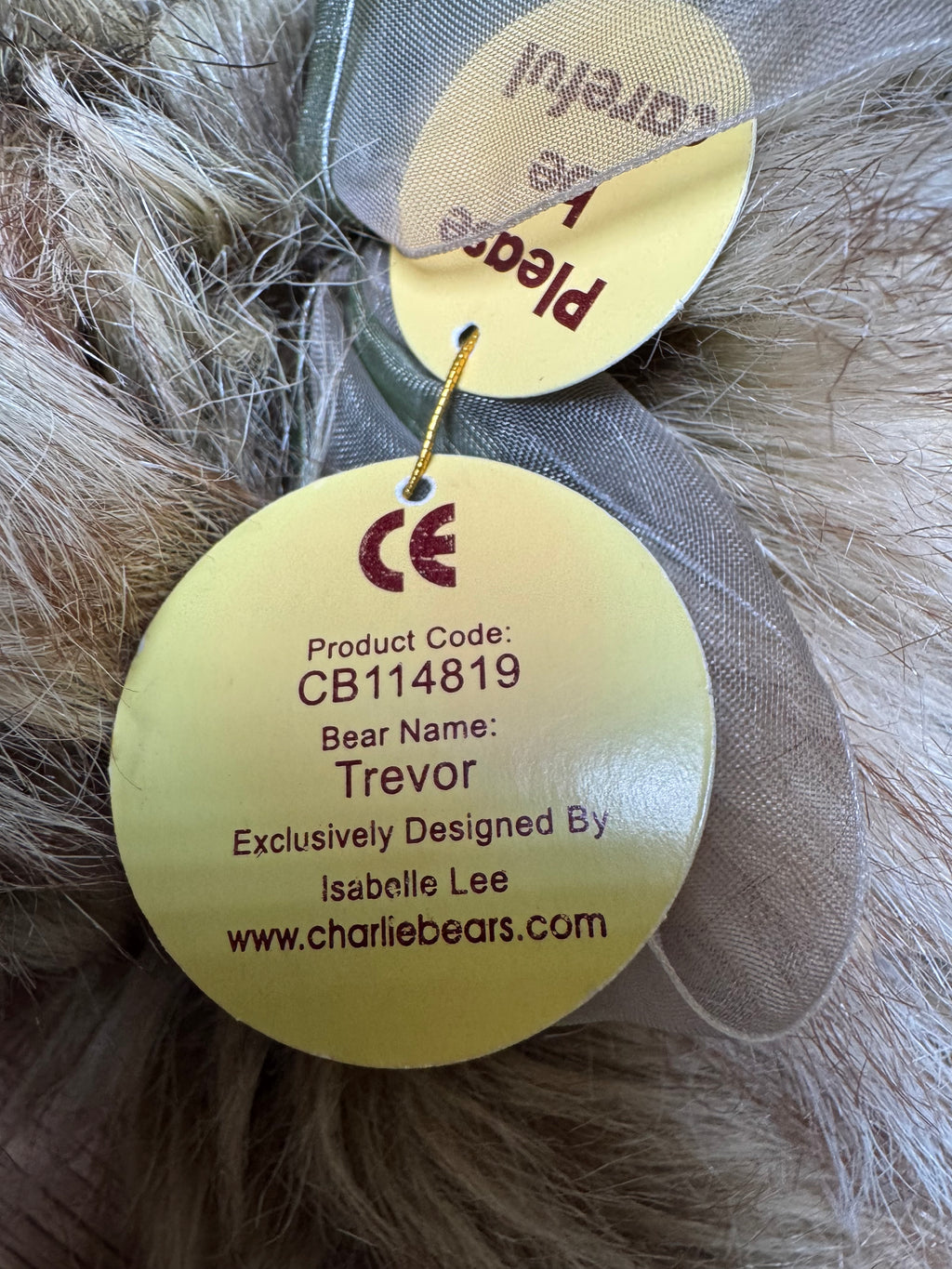 Charlie Bears | Trevor CB114819