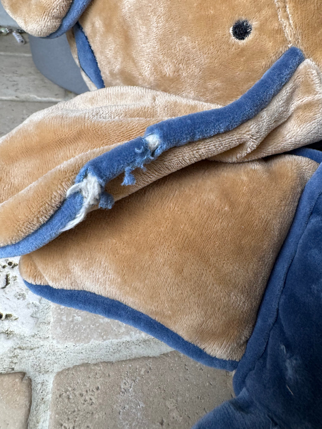 Jellycat Cushy Dog | Damage | HTF