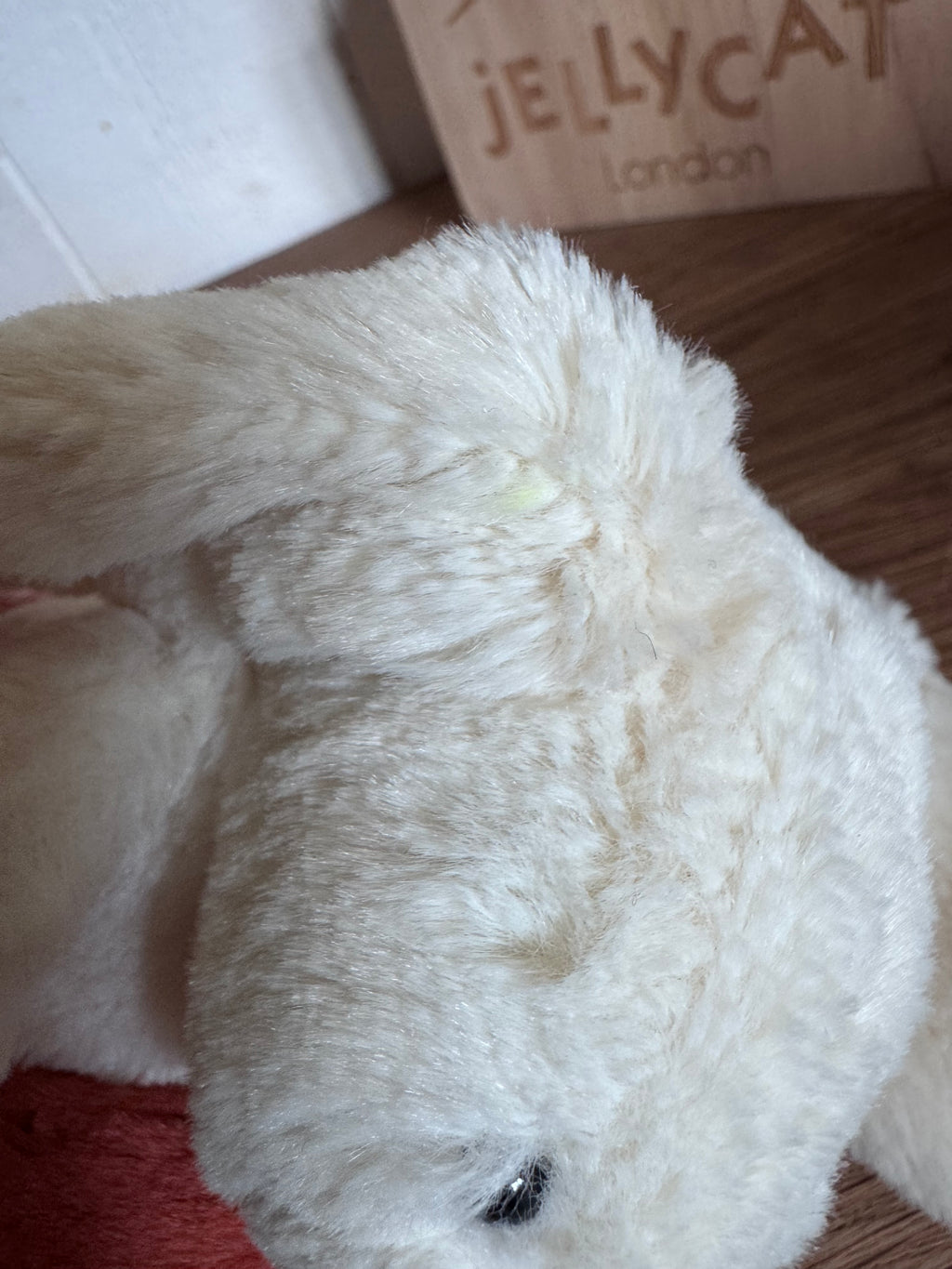Bunny Holding A Carrot