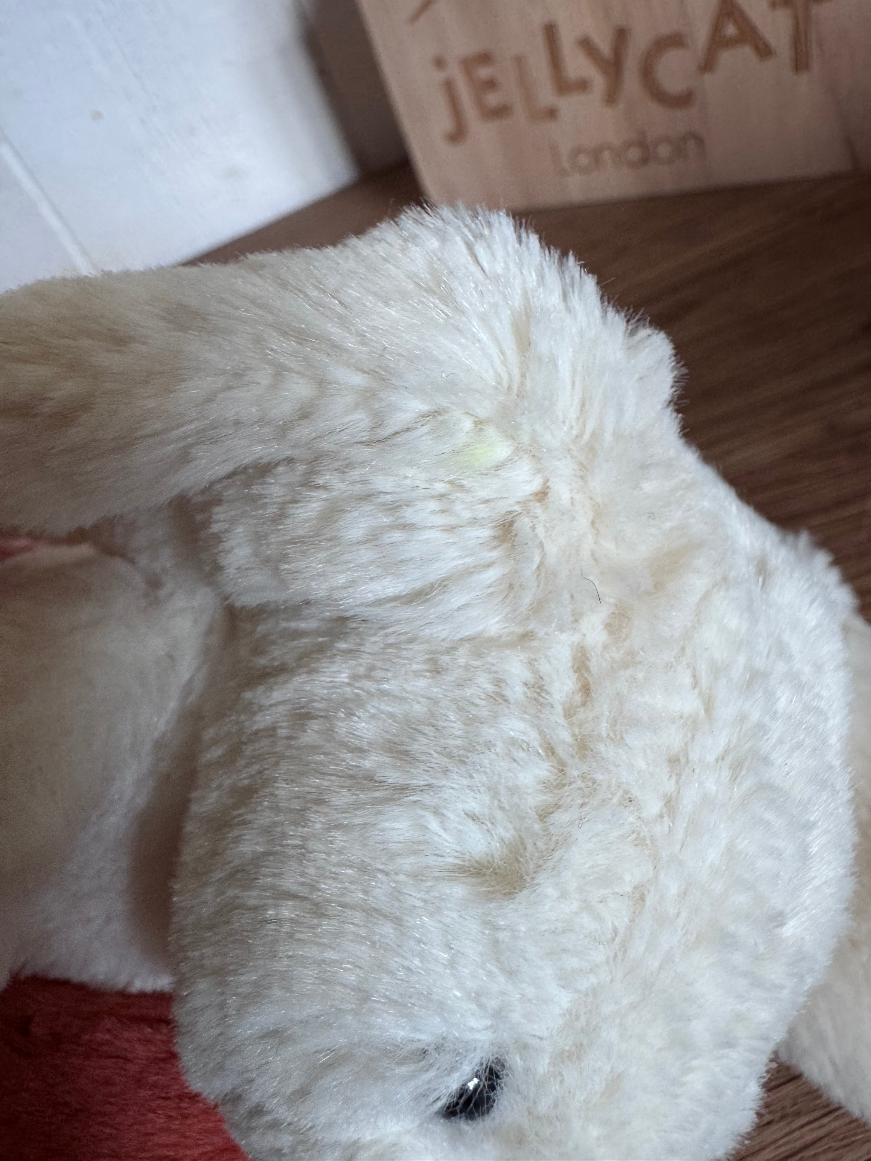 Bunny Holding A Carrot
