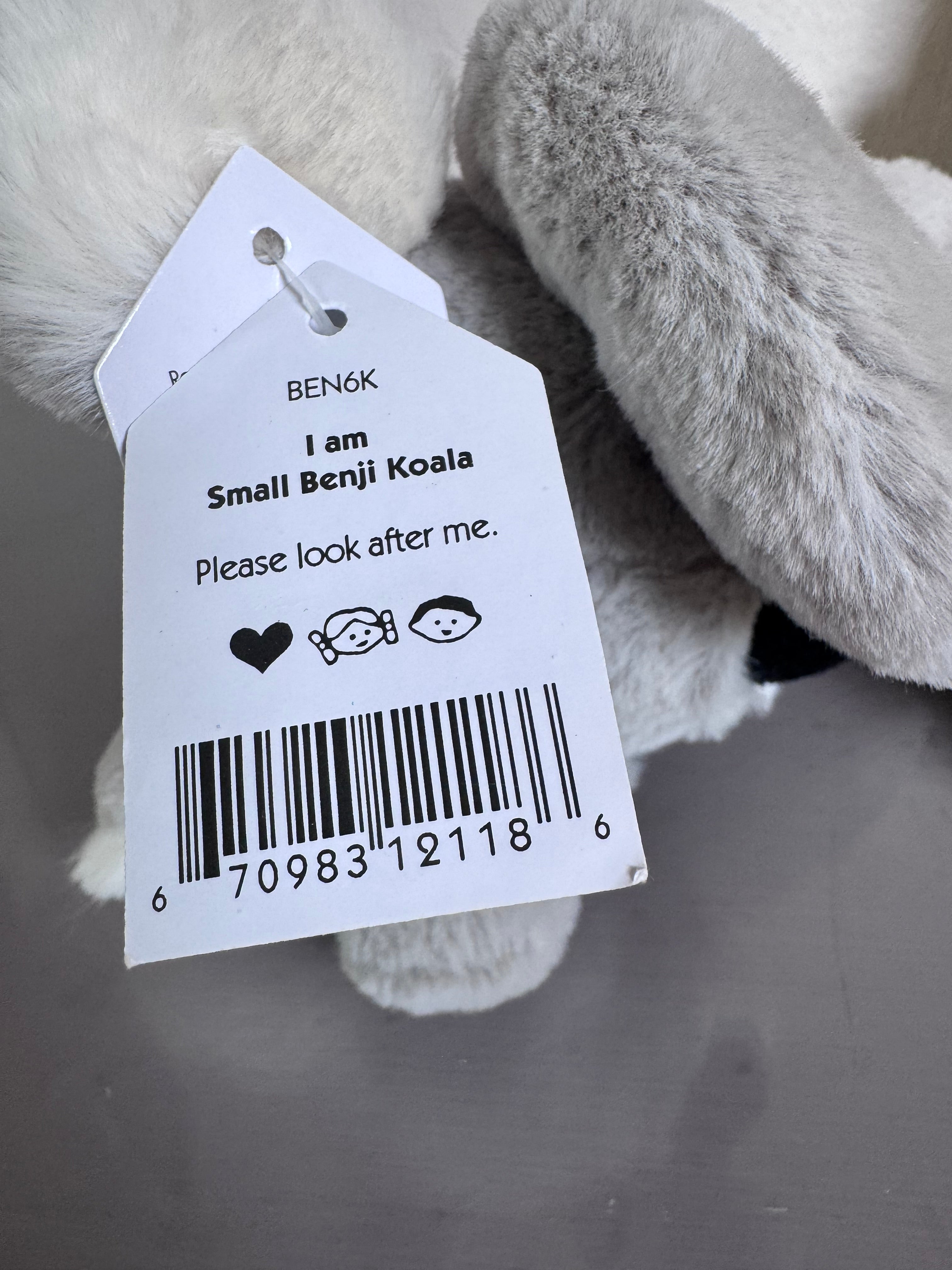 Small Benji Koala