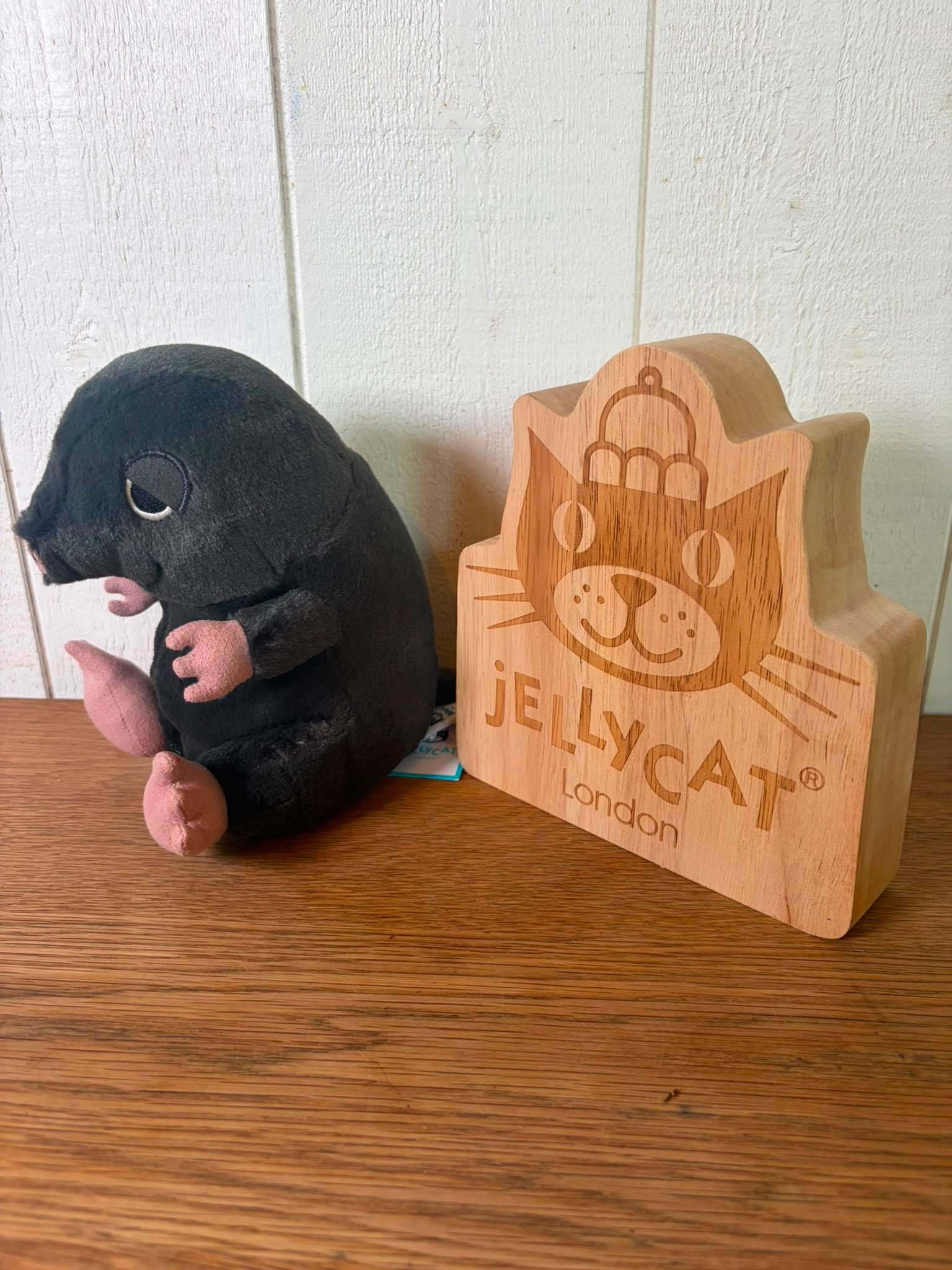 Jellycat Cuddlebud Morgan Mole