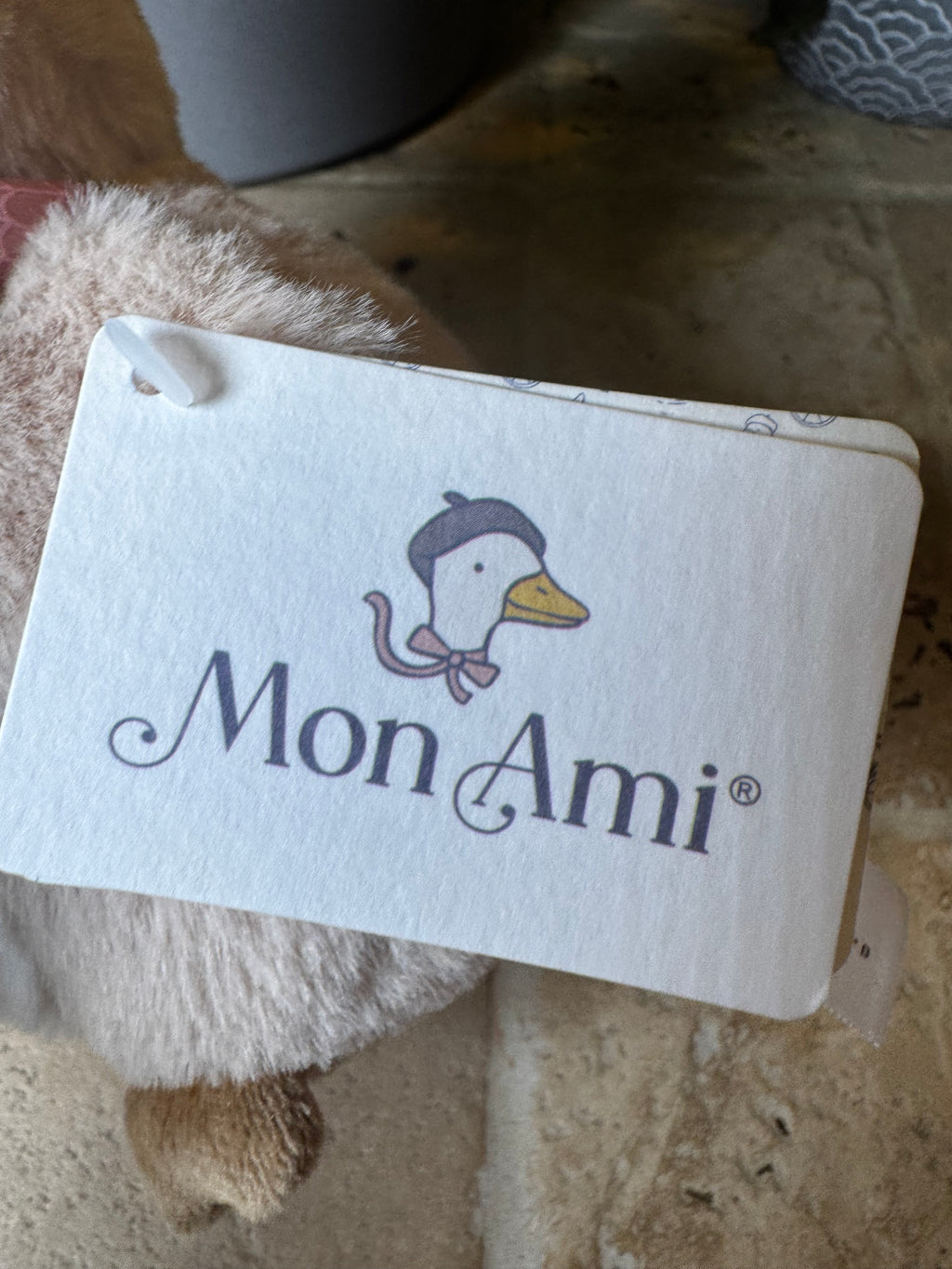 Mon Ami | Graduate Owl