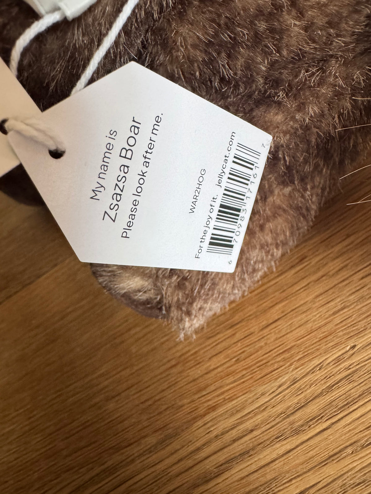 Jellycat Zsazsa Boar | Jellyfest Berlin Exclusive