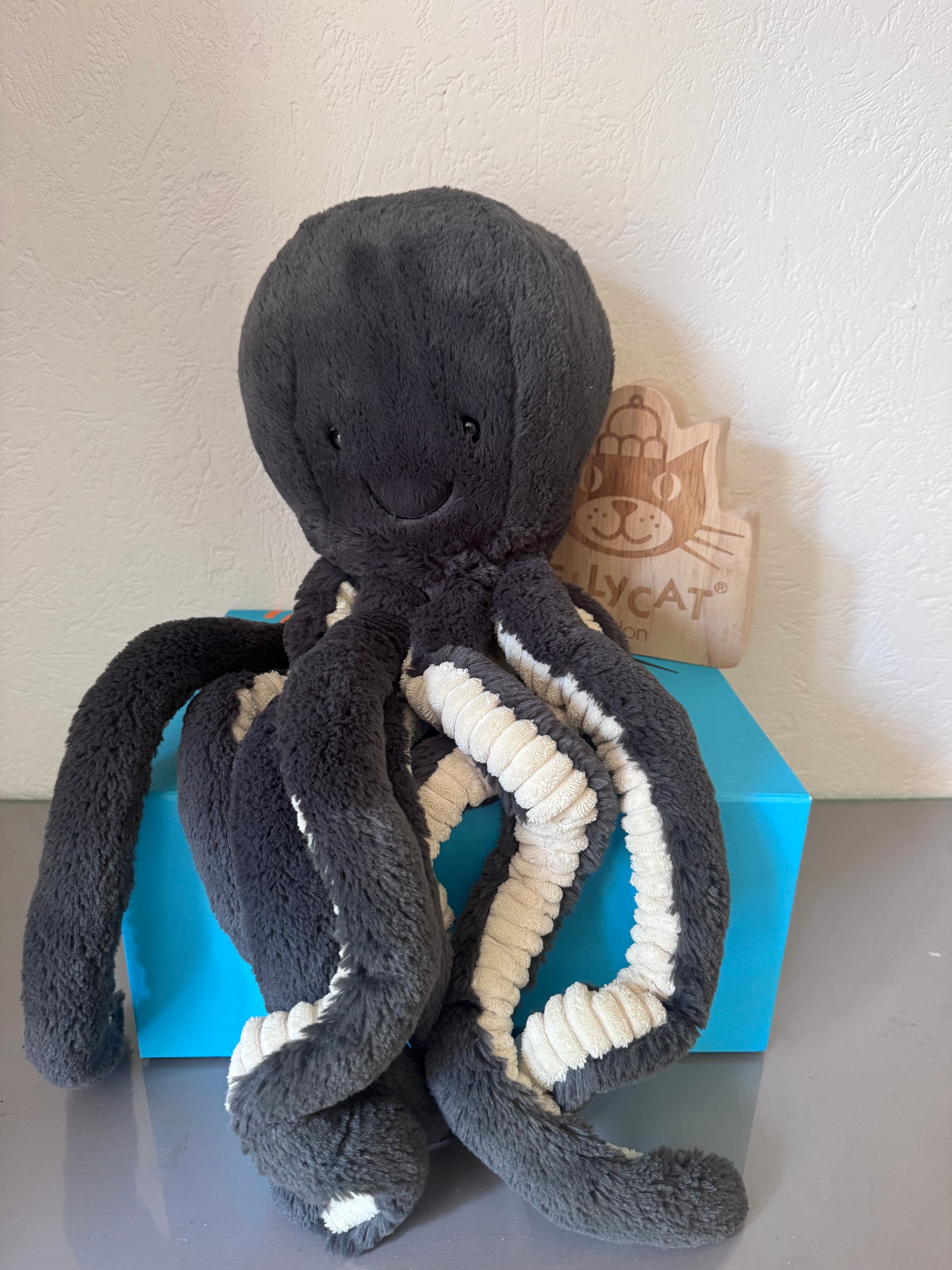 Inky Octopus