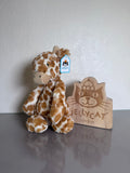Medium Bashful Giraffe