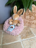 Jellycat Hibernating Bunny