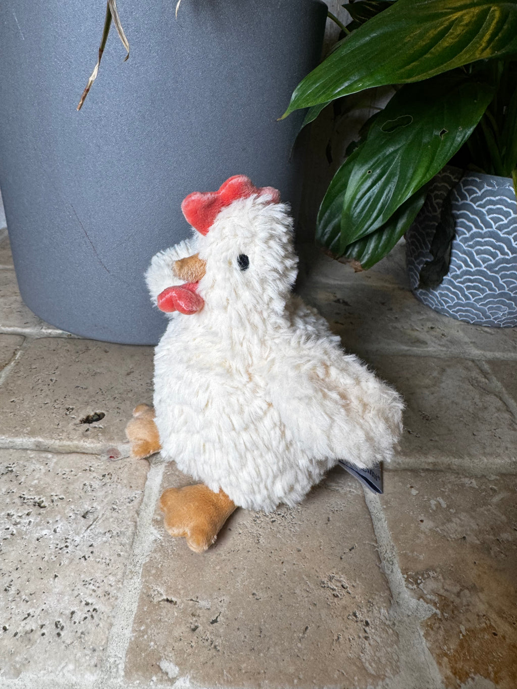 Mon Ami | Hazel Hen