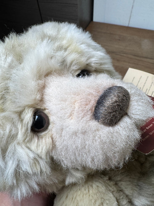 Charlie Bears | Charlie year bear 2016 CB161682