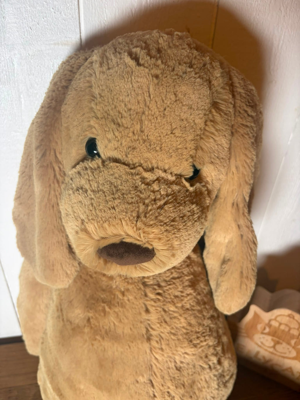 Jellycat Really Big Bashful Toffee Puppy