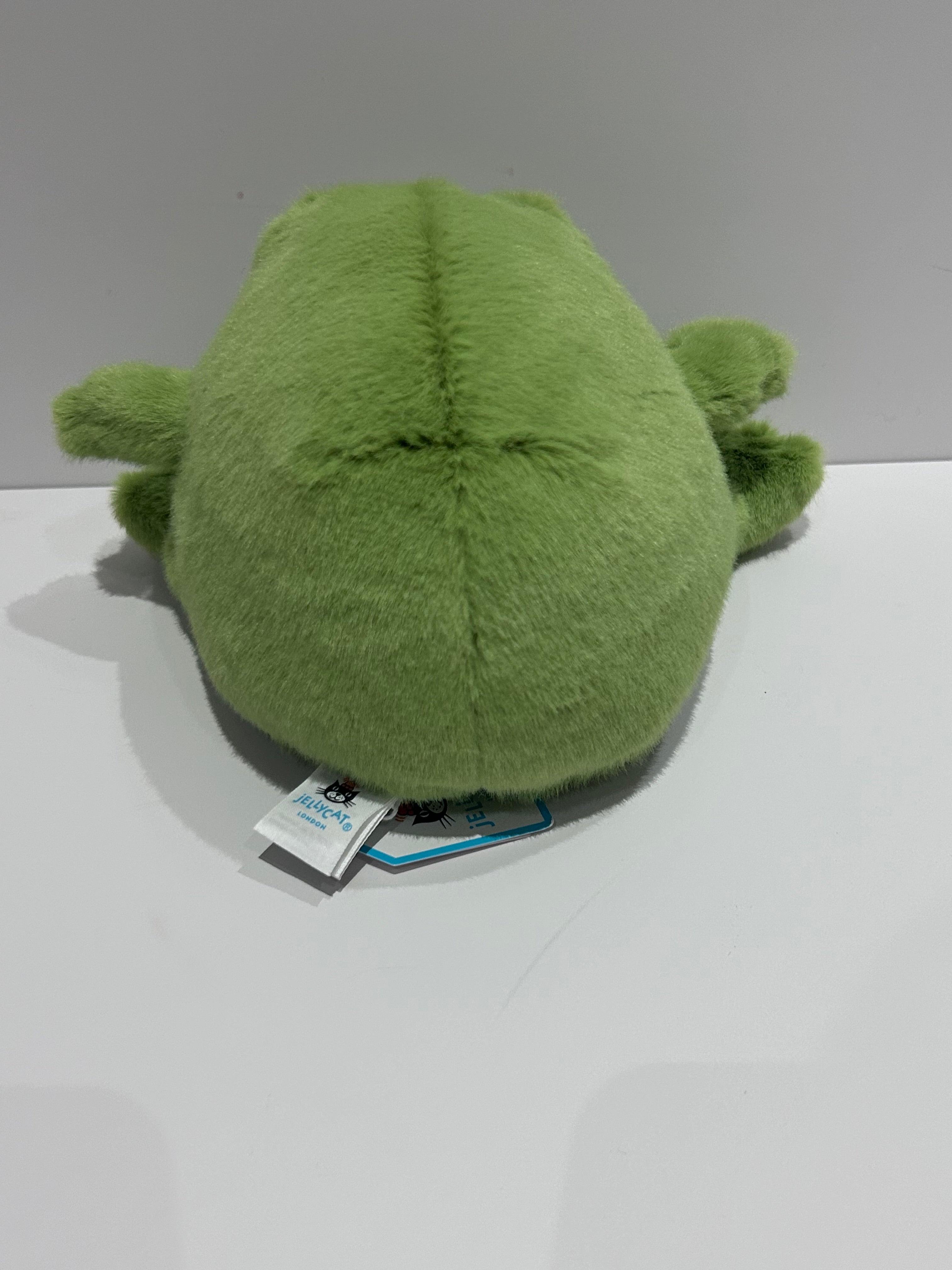 Jellycat Ricky Rain Frog Smiling – The Jelly Corner