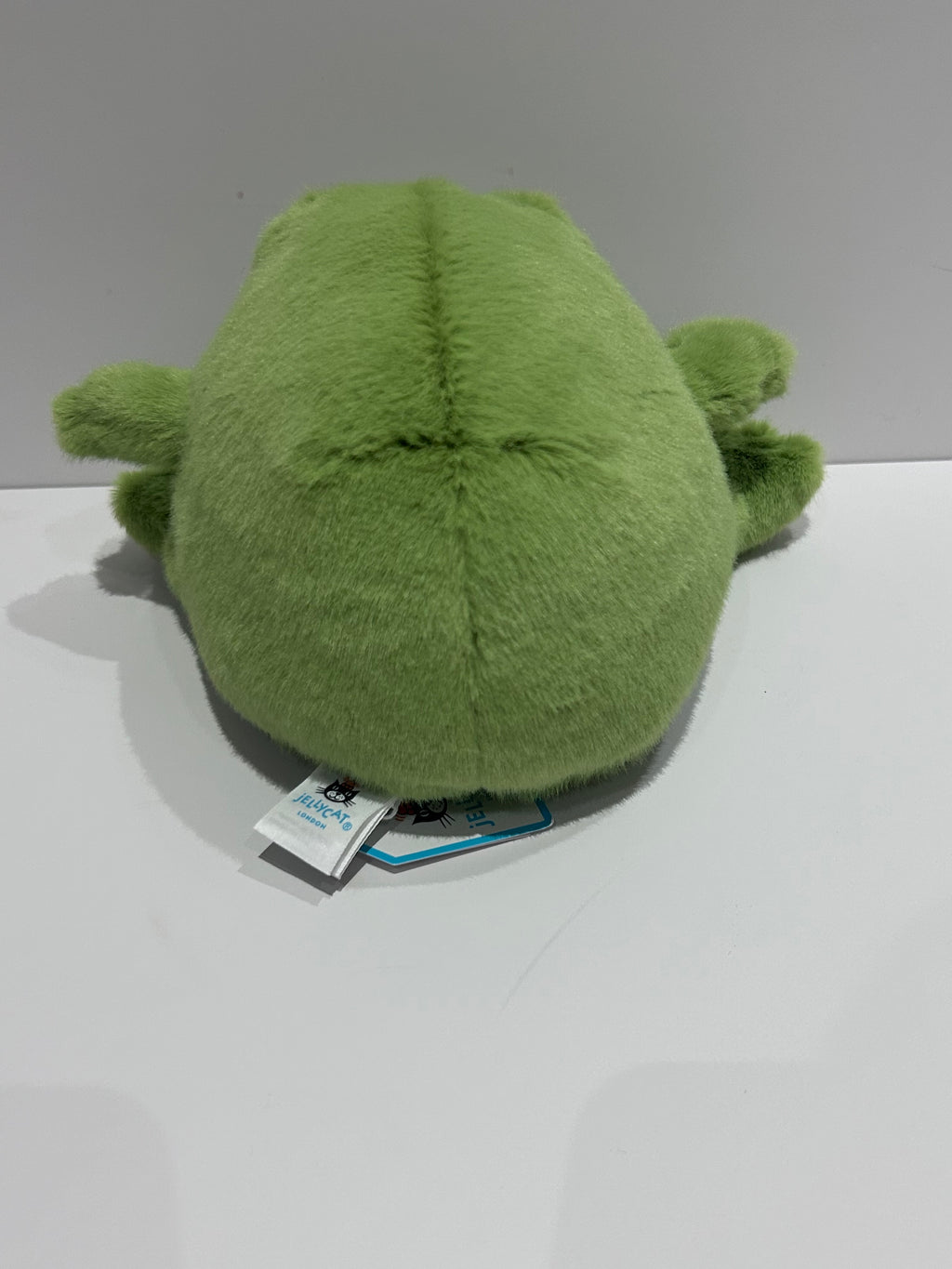 Ricky Rain Frog Smiling