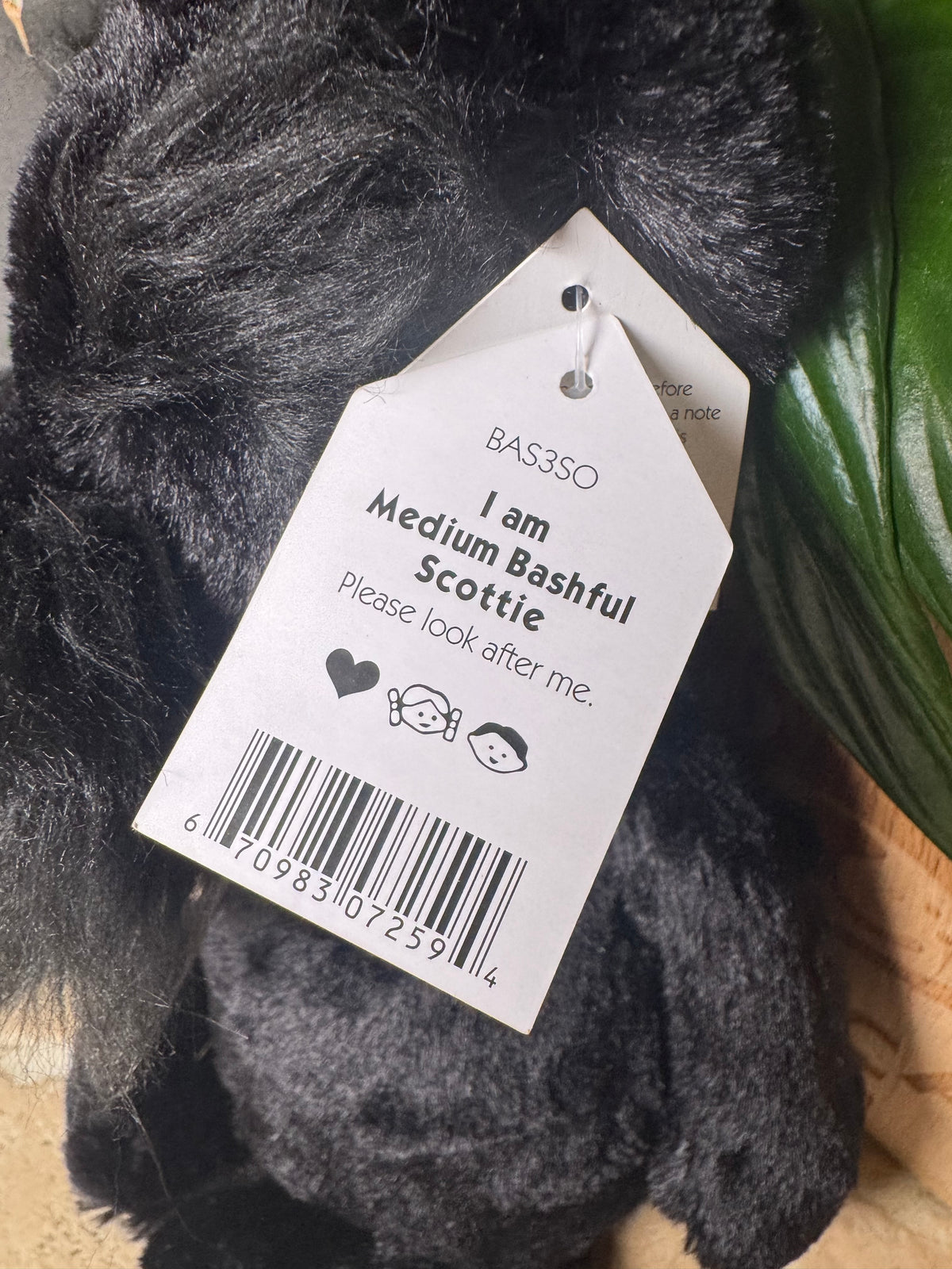 Jellycat Médium Bashful Scottie