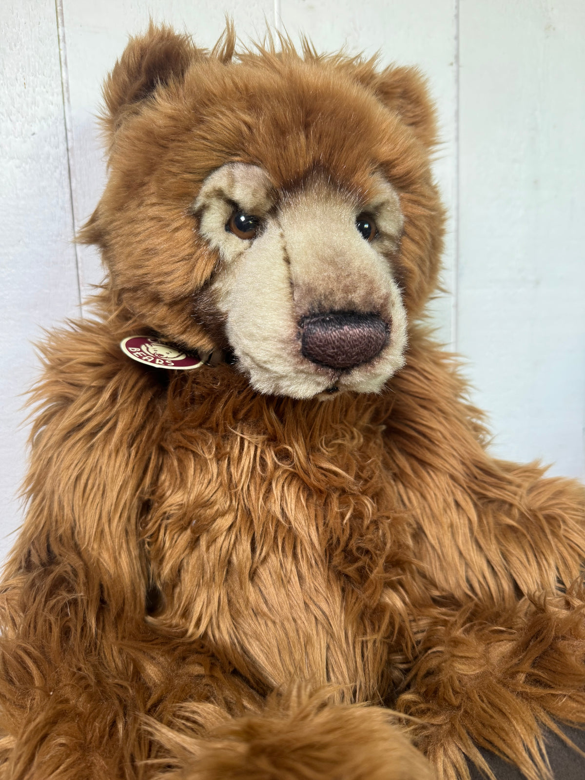 Charlie Bears | Kojak CB094087