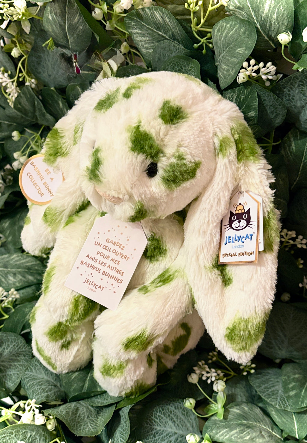 JellycatDreams Custom Olive Bunny