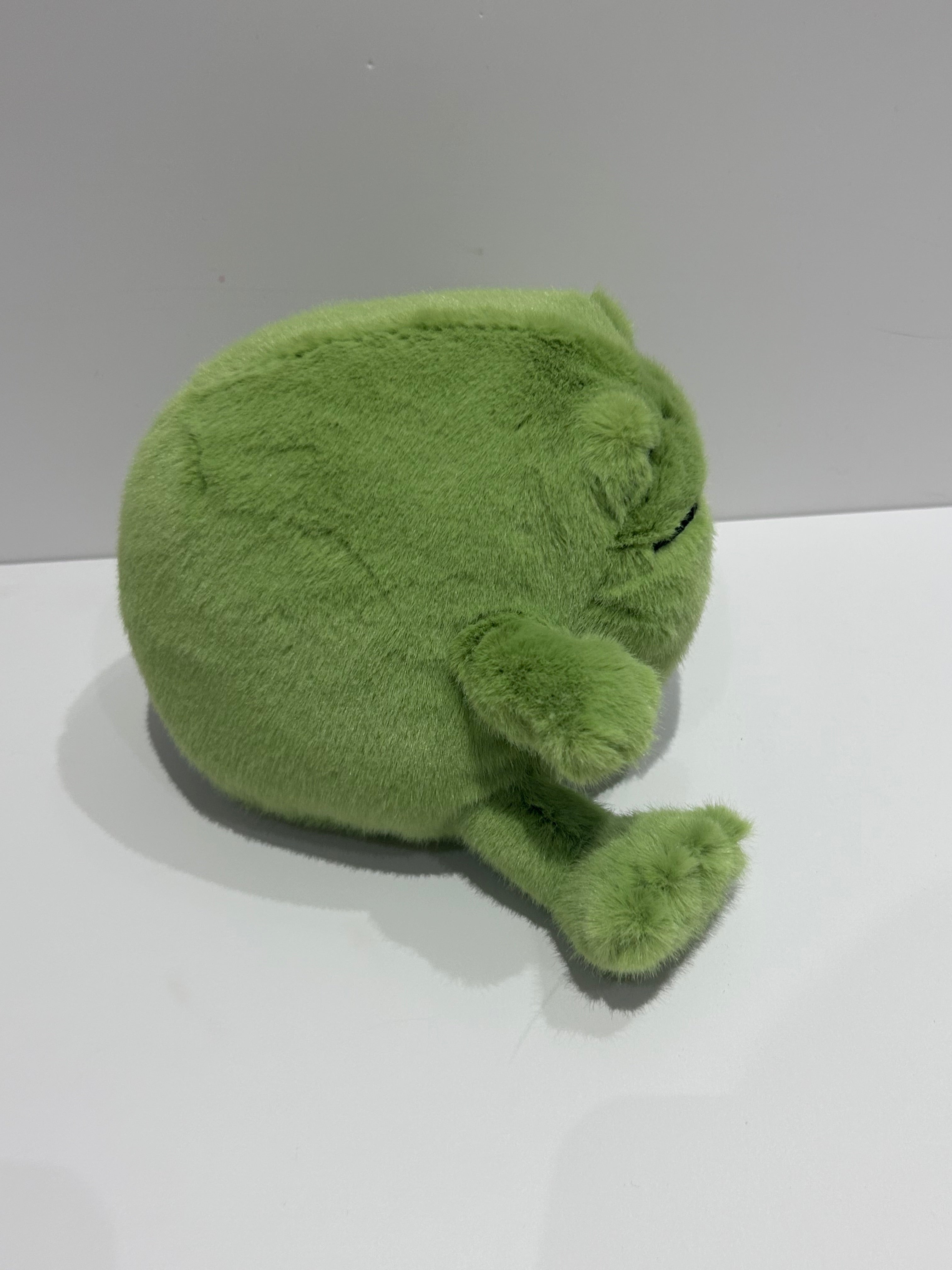 Ricky Rain Frog Smiling
