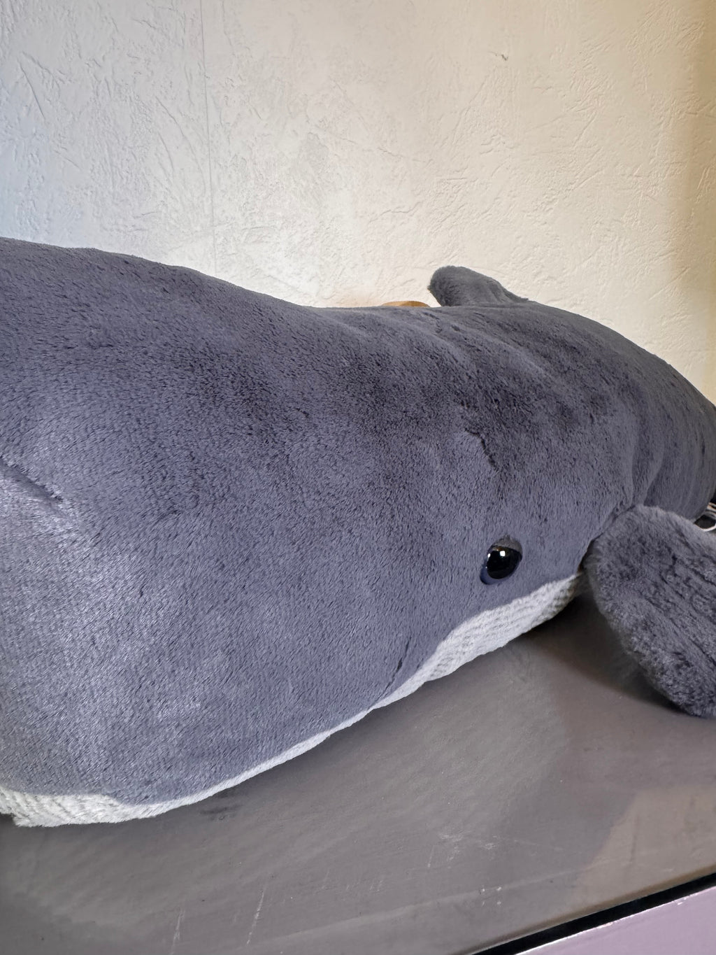 Sullivan the Sperm Whale