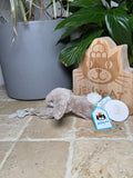 Jellycat Bashful Beige Bunny Dummy Clip