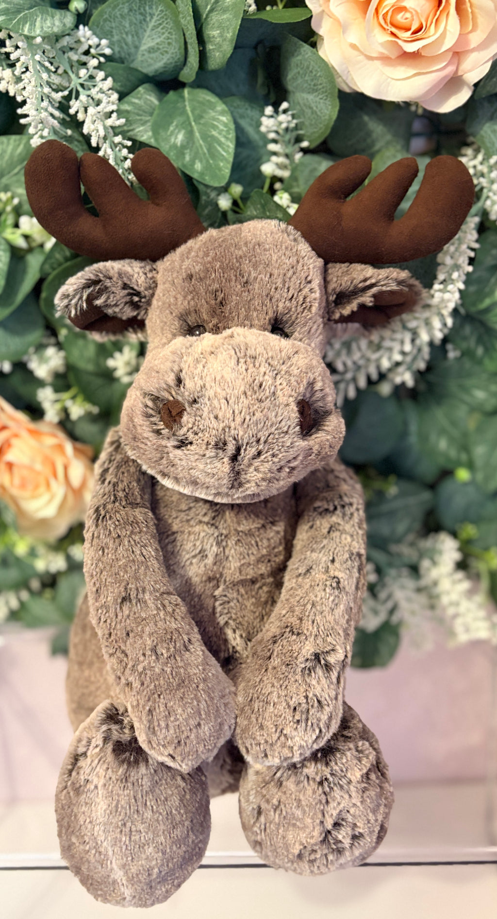 Bashful Marty Moose