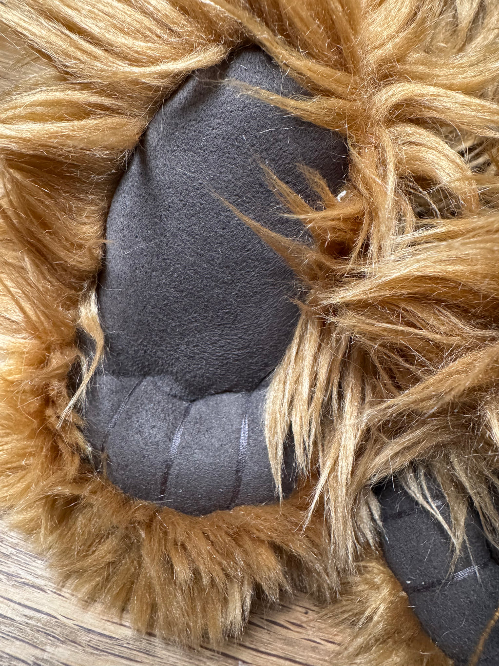 Charlie Bears | Kojak CB094087