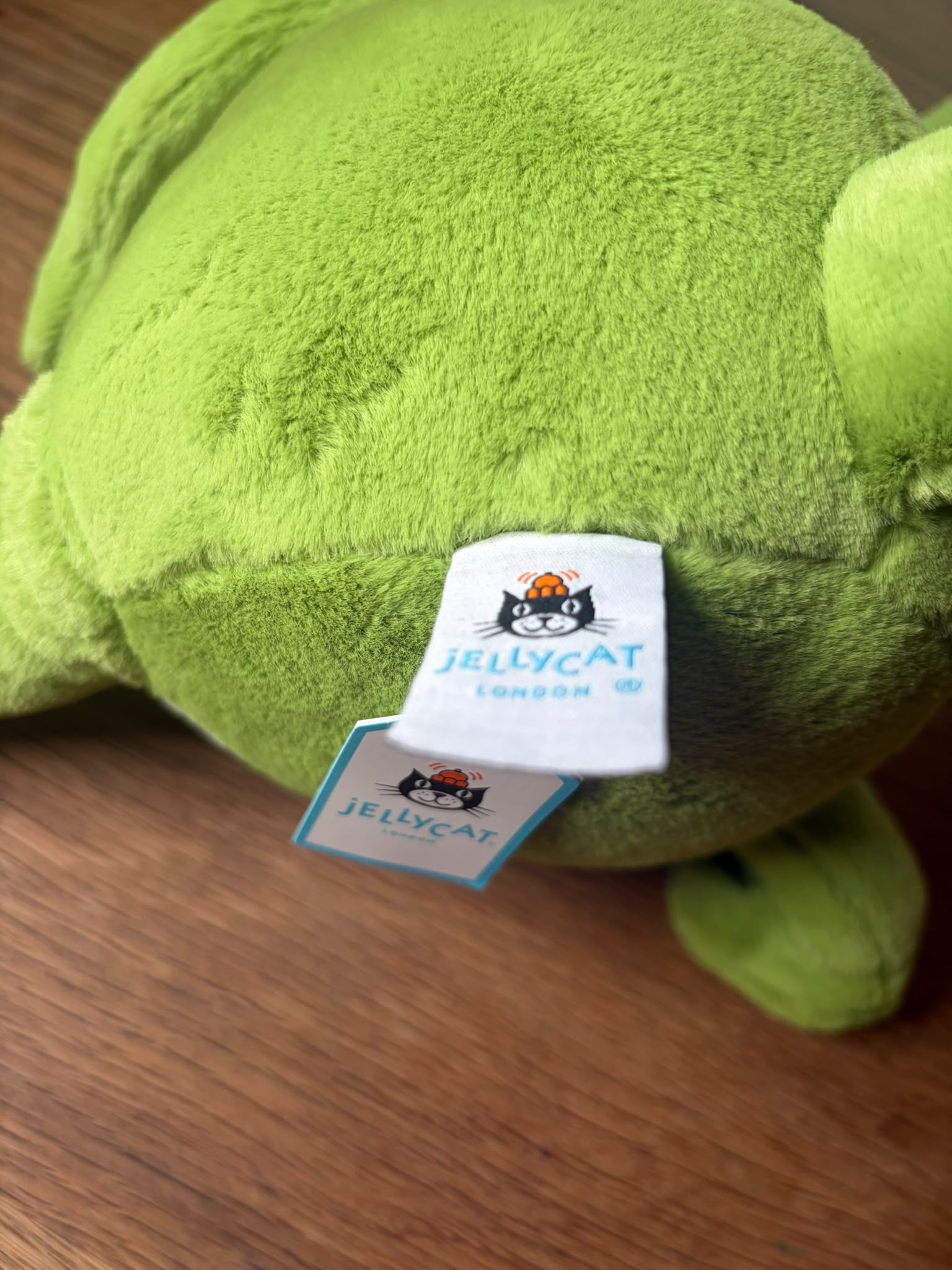 Jellycat Caractacus Chameleon