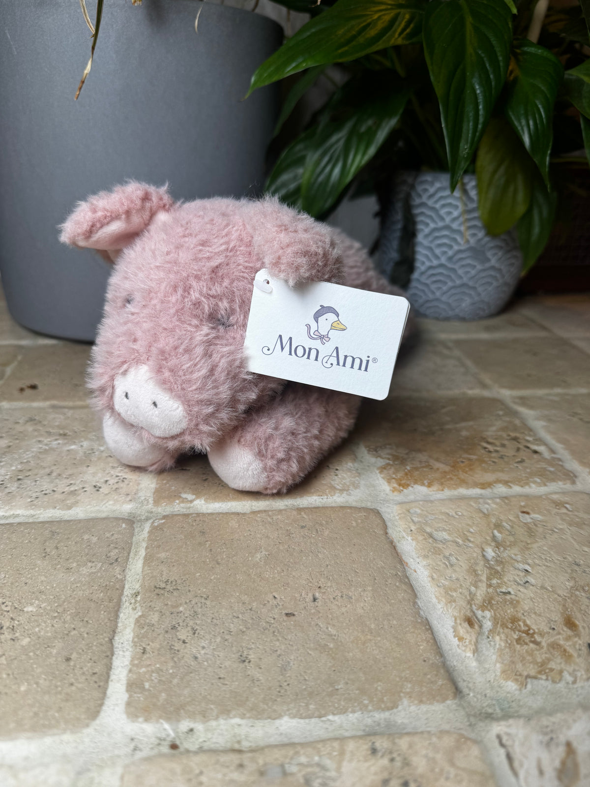 Mon Ami | Pixie Laying Pig