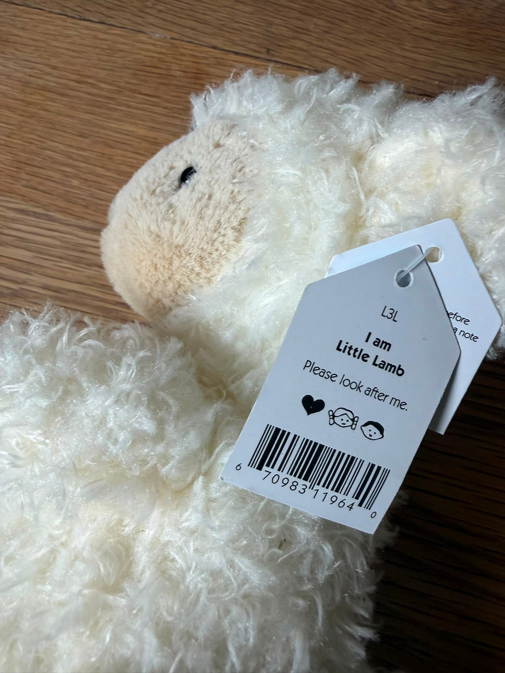 Jellycat Little Lamb