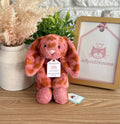 JellycatDreams Mini Creations Baby Gia Giraffe Bunny