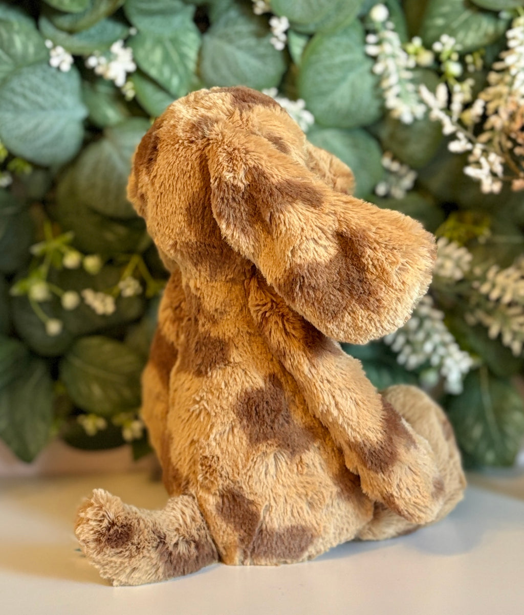JellycatDreams Toffifee Puppy