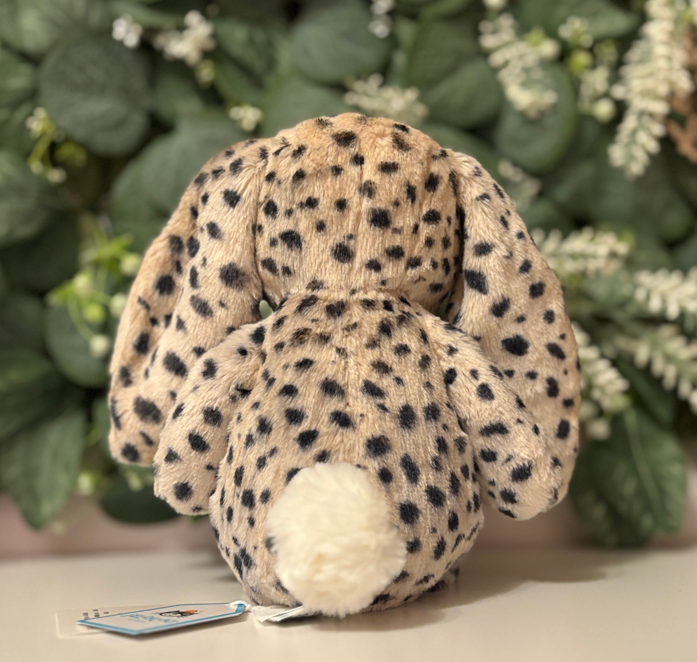 JellycatDreams Zuri Cheetah Jr.